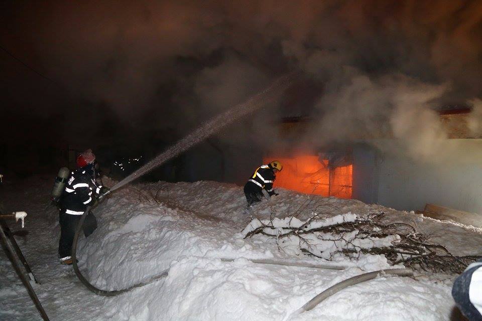 UPDATE | Incendiu la Circul Globus. 11 animale, printre care doi tigri, au pierit în flăcări. Ce spun anchetatorii / VIDEO&FOTO