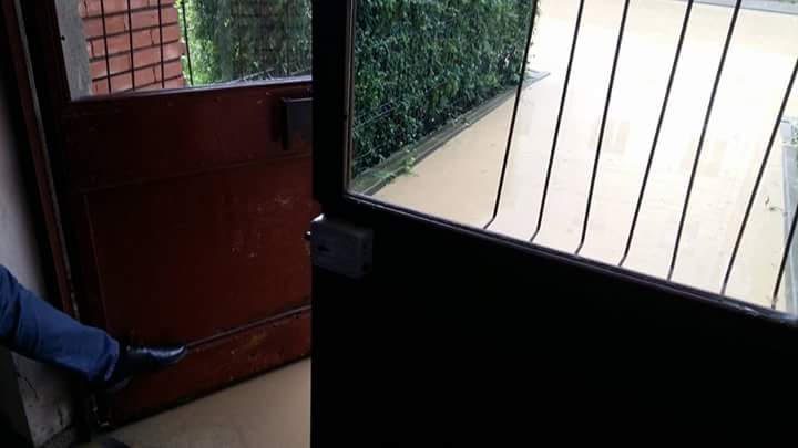 Ploile au făcut ravagii în țară! Mașini luate de viitură și zeci de gospodării inundate FOTO
