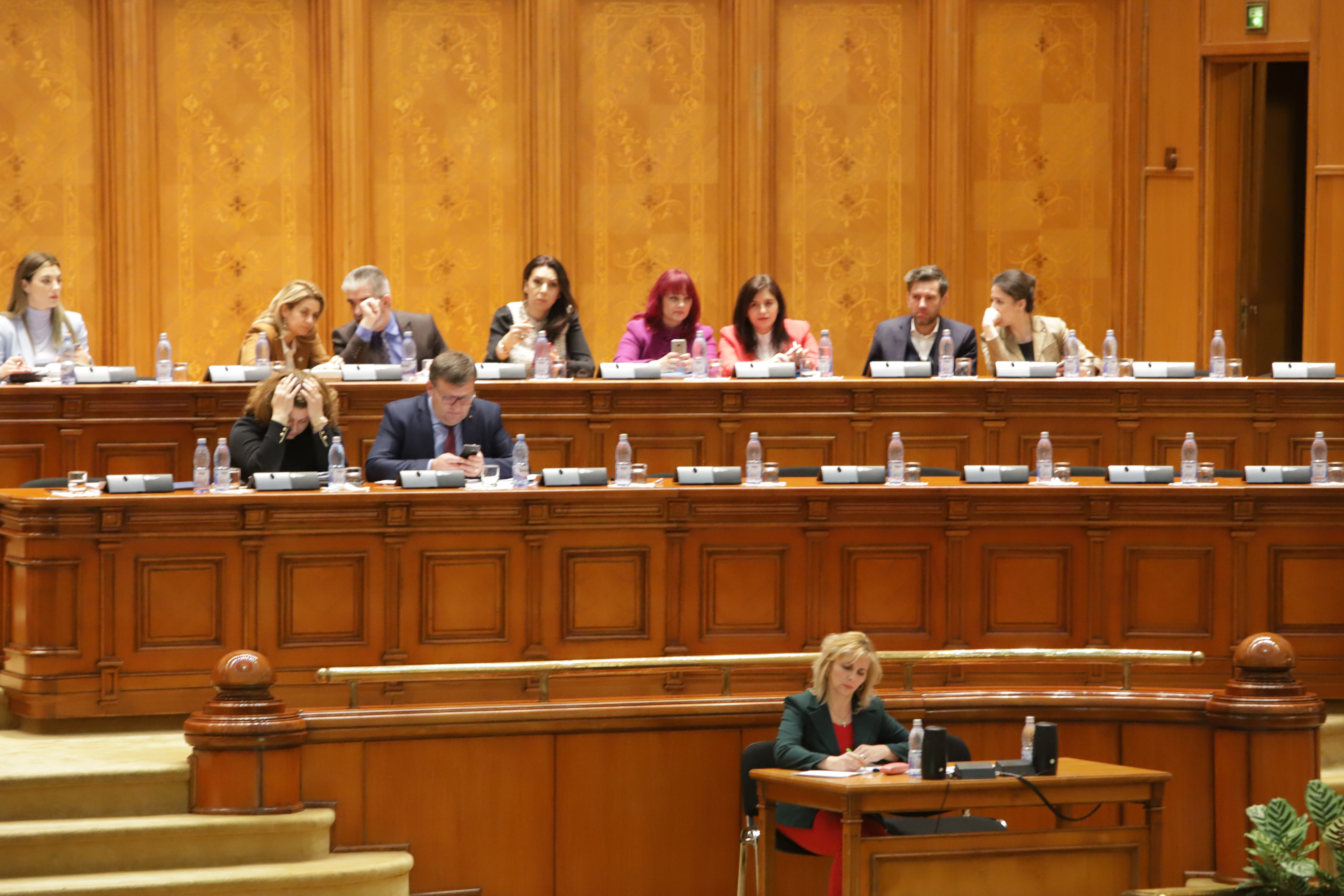 UPDATE. Plenul Parlamentului a început dezbaterea la proiectul de buget pe 2019. Dragnea lipseşte, miniştrii din Cabinet nu au ajuns la şedinţă (FOTO/ VIDEO)