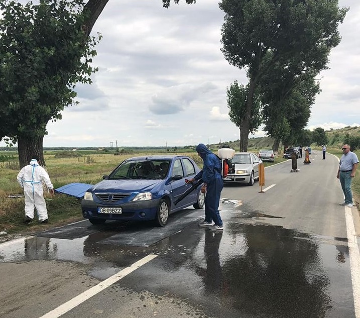 Stare de alertă în județul Tulcea. Pesta porcină africană afectează oamenii de rând, dar și marele producător Carniprod/ FOTO