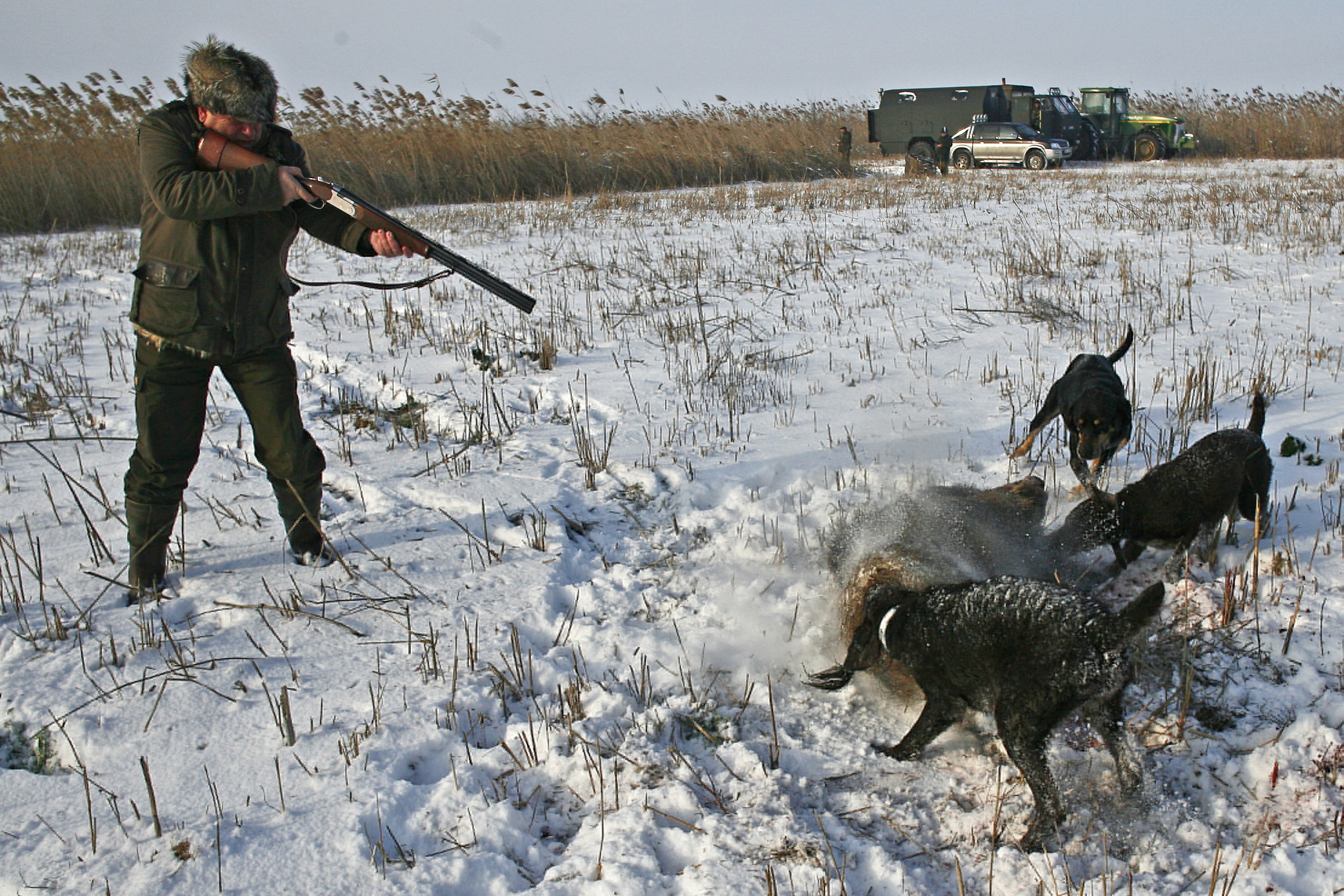 VIDEO&FOTO / Cel mai bogat român a făcut prăpăd în junglă! Împăiază animale!