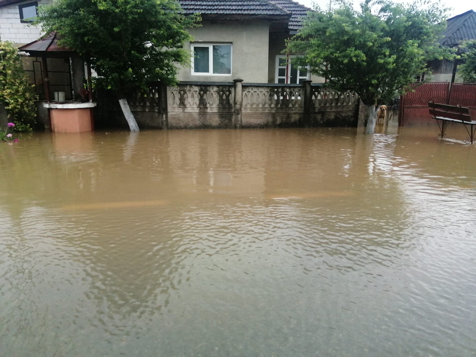 Potop în mai multe localități din Gorj, după codul roșu de ploi. Mai multe gospodării au fost inundate. FOTO