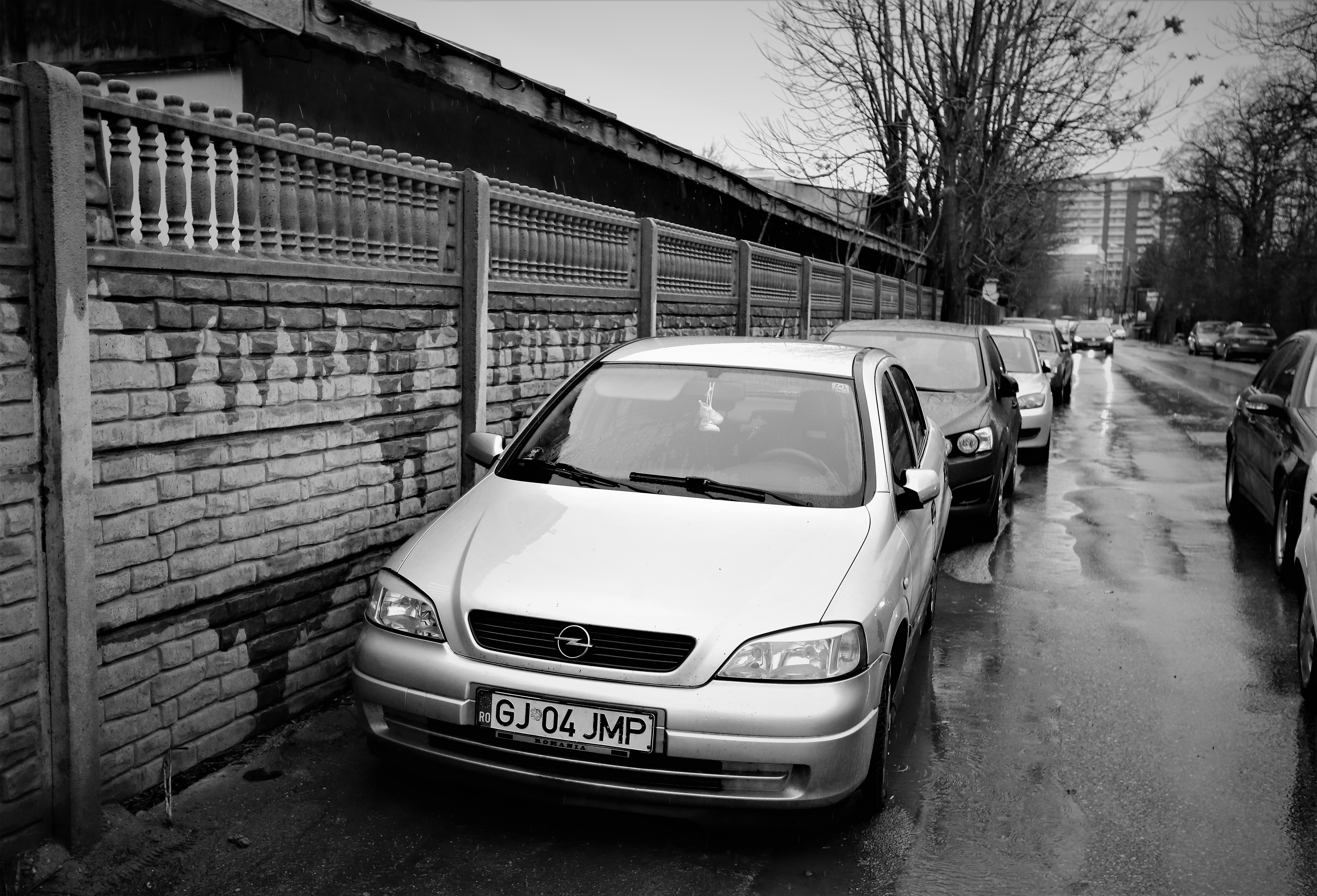 FOTOREPORTAJ | #salvatipipera, între ALB și NEGRU