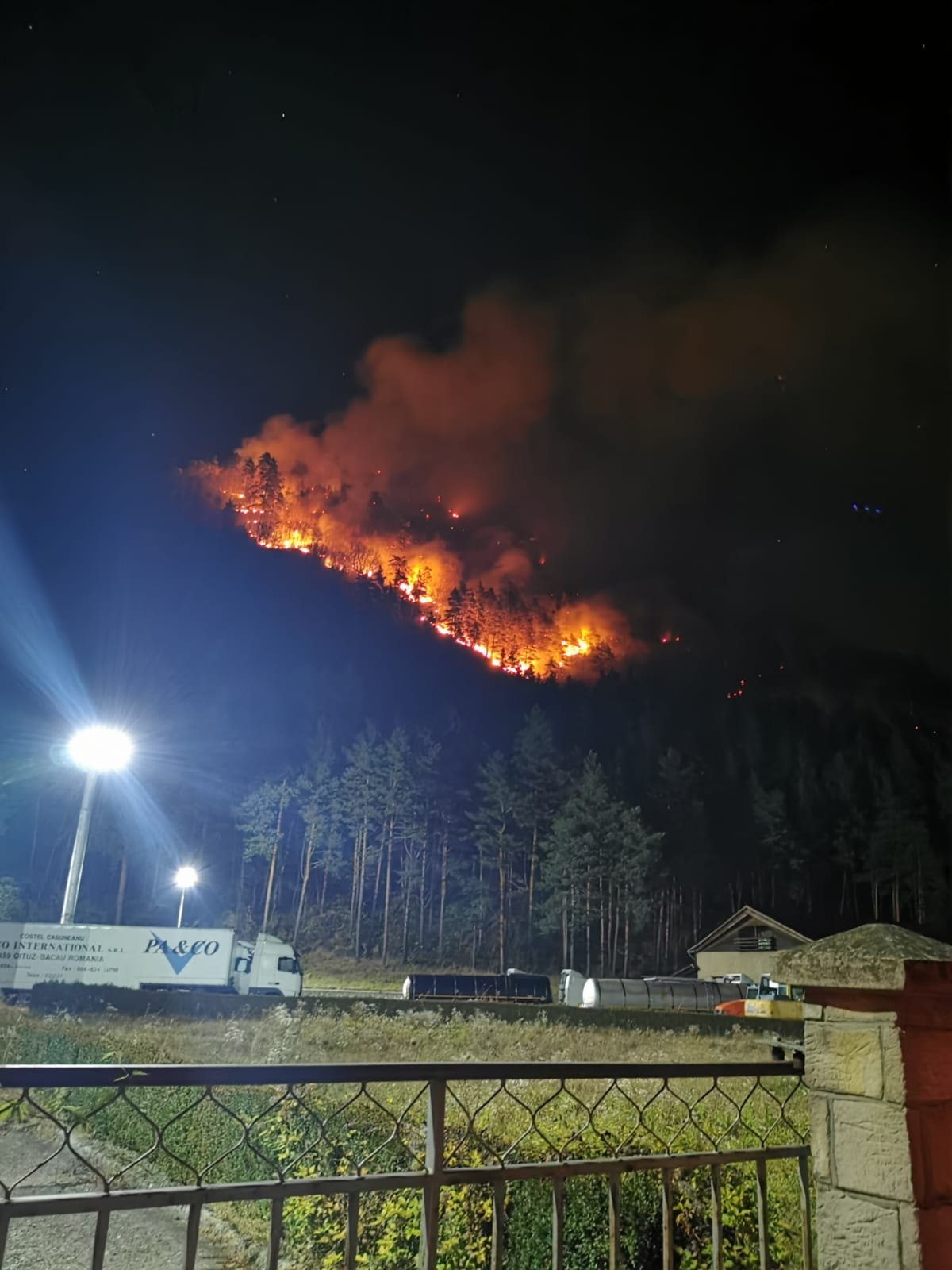 Pădurea de la Oituz arde de cinci zile. Incendiul s-a extins pe 28 de hectare