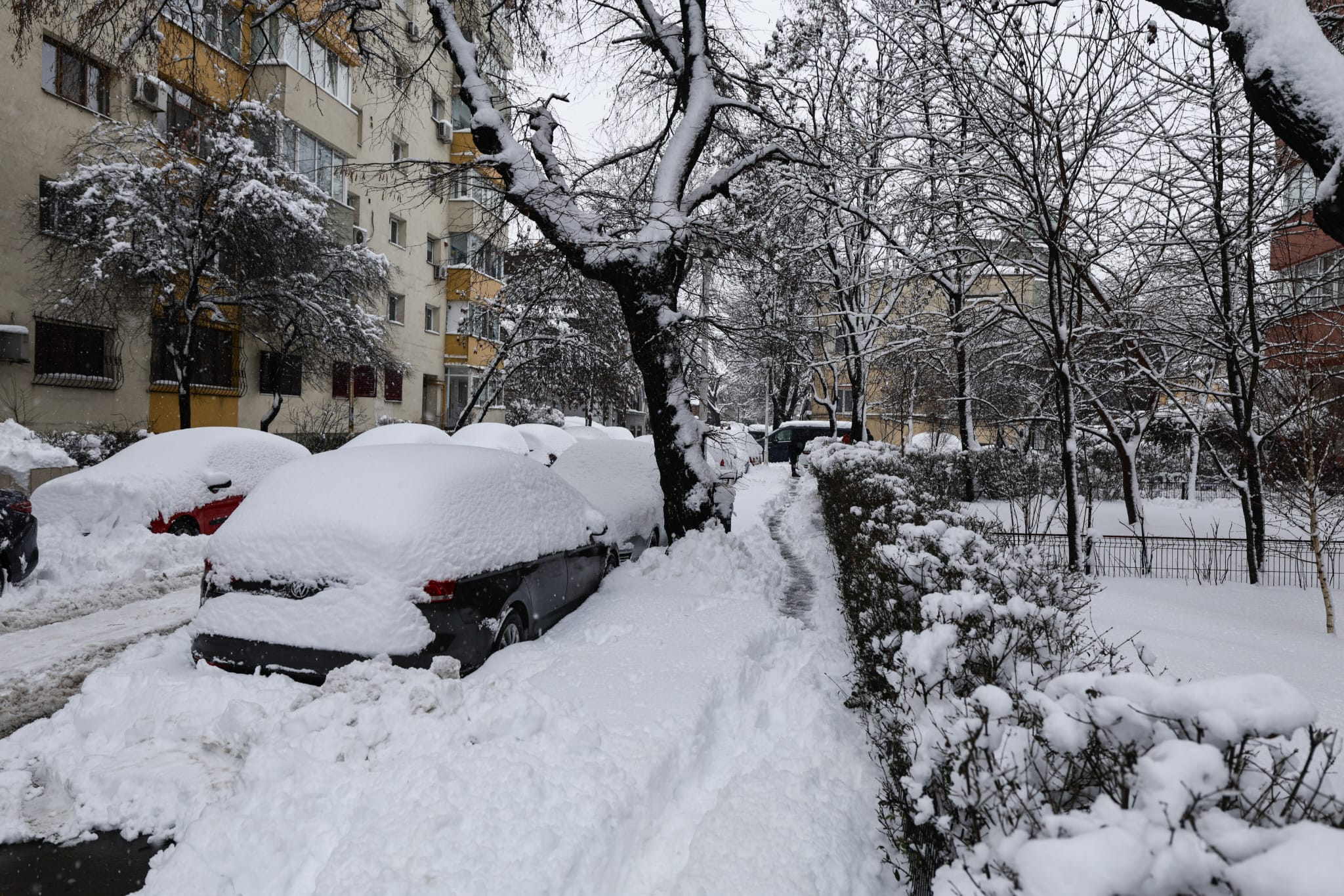 Zăpada a dat peste cap și trenurile, și avioanele din România: întârzieri de sute de minute și zboruri anulate