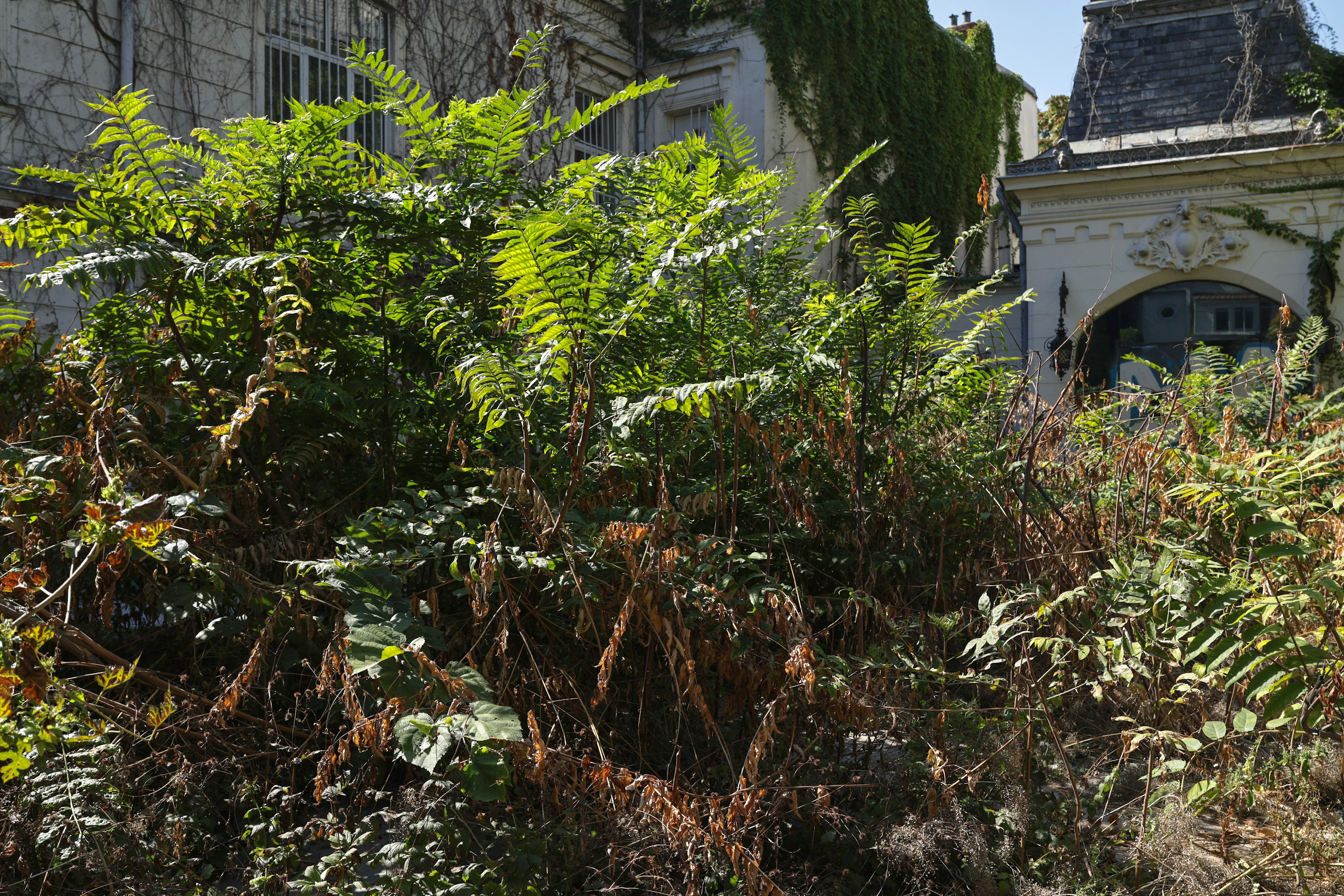 Palatul Maurice Blank