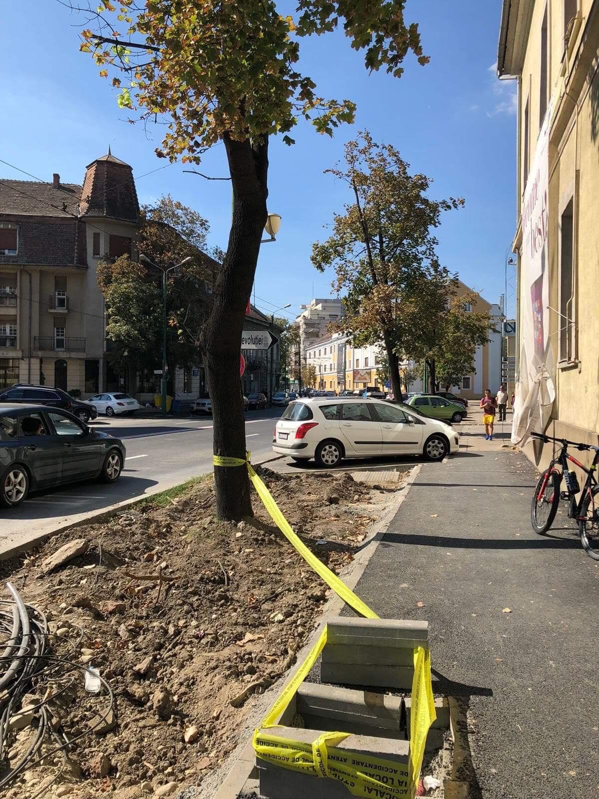 Domnule primar Robu, aveți grijă când mergeți cu bicicleta prin Timișoara! Puteți ajunge așa, ca tânărul care a căzut în groapa de pe trotuar