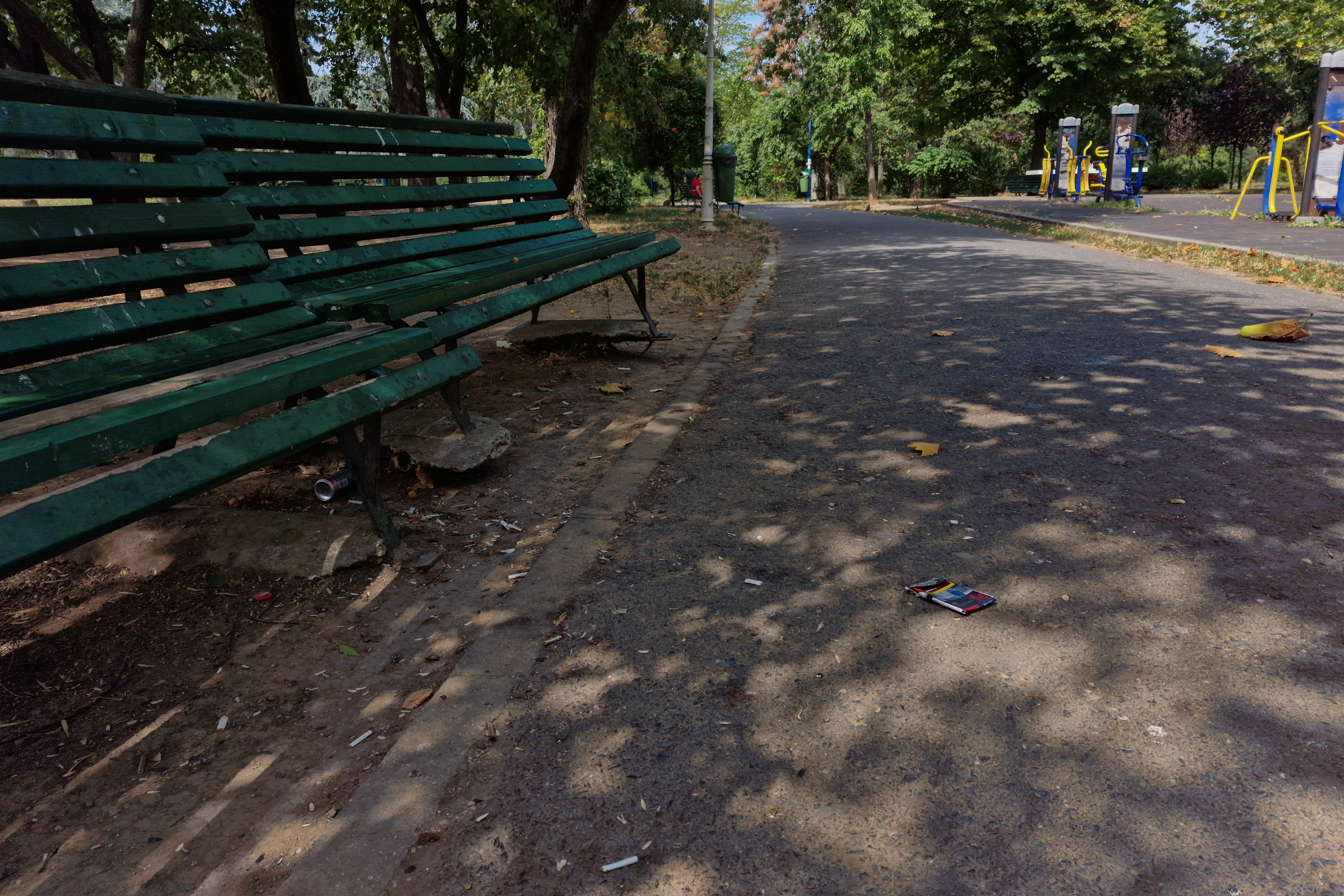 FOTO. În Parcul Circului din București, toată iarba e pârjolită. Rezistă, în schimb, gunoaiele