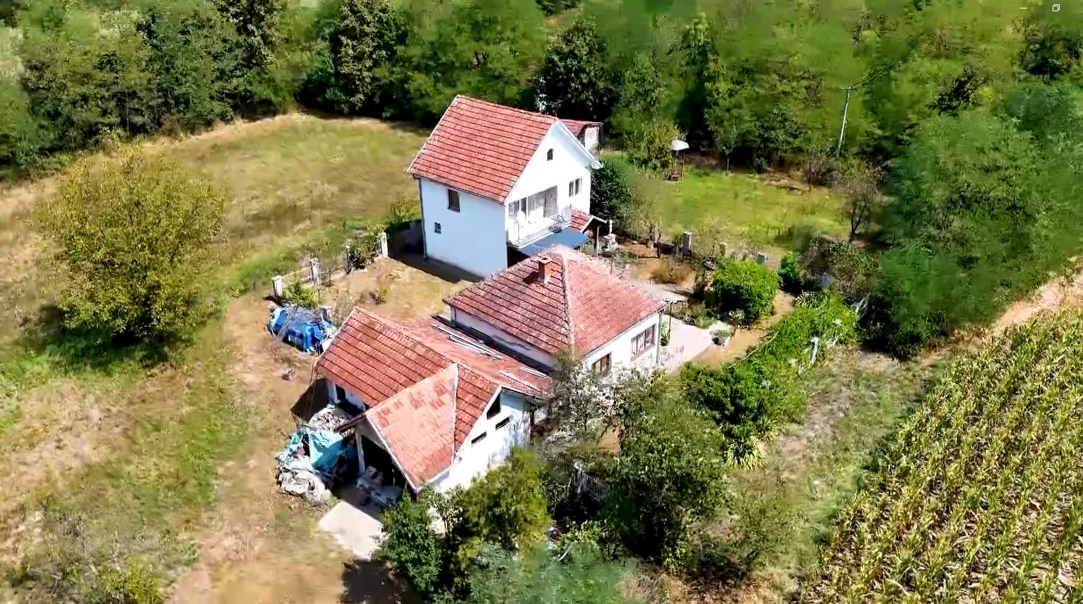 FOLKERKA ODRASLA U SKROMNOJ KUĆI USRED ŠUME Danas ima vilu od 700.000 evra i kupa se u luksuzu, a nekad je radila teške fizičke poslove: "Bogati seljaci su im plaćali"