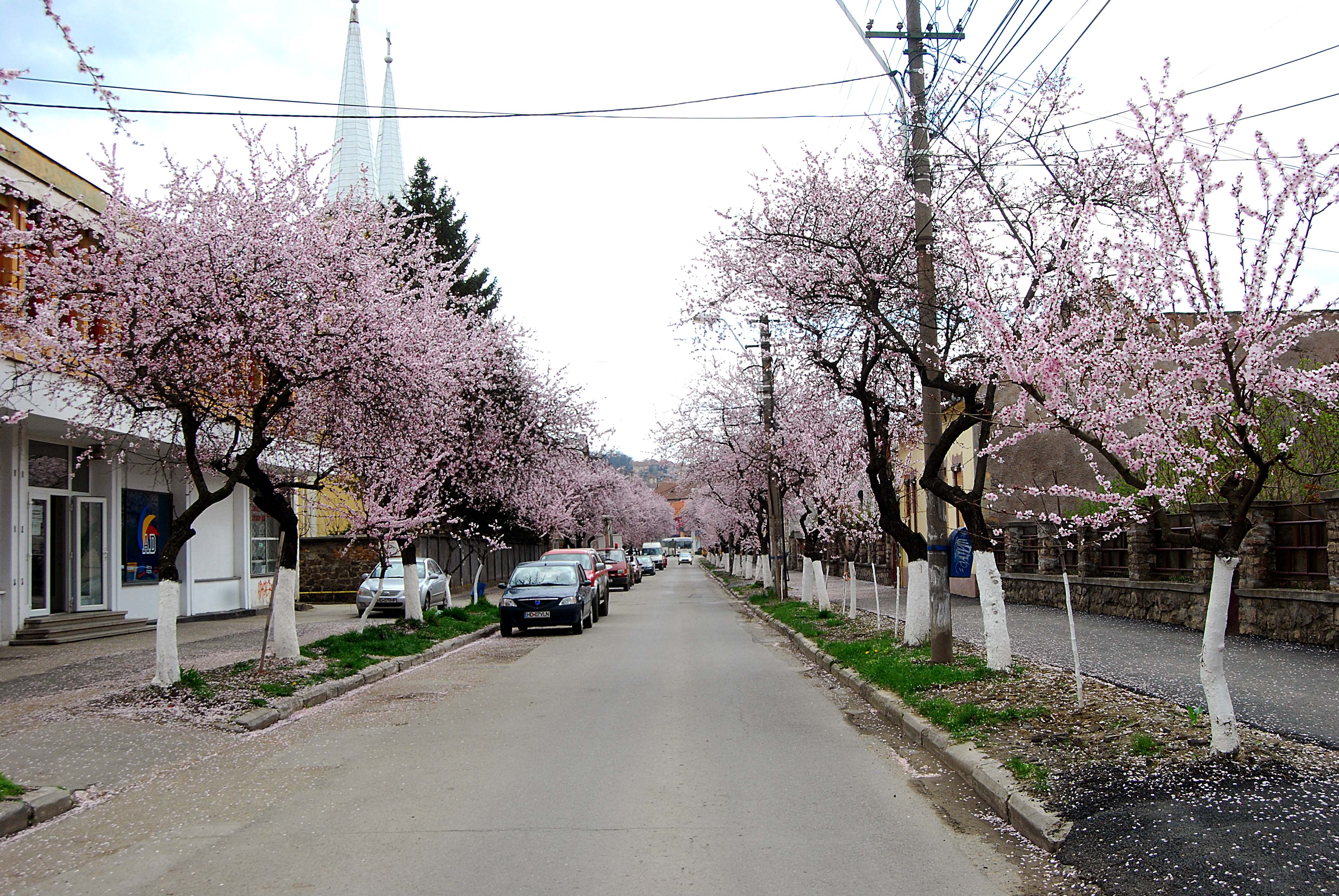 Este aceasta una dintre cele mai frumoase străzi din România? Imagini desprinse parcă din povești! GALERIE FOTO