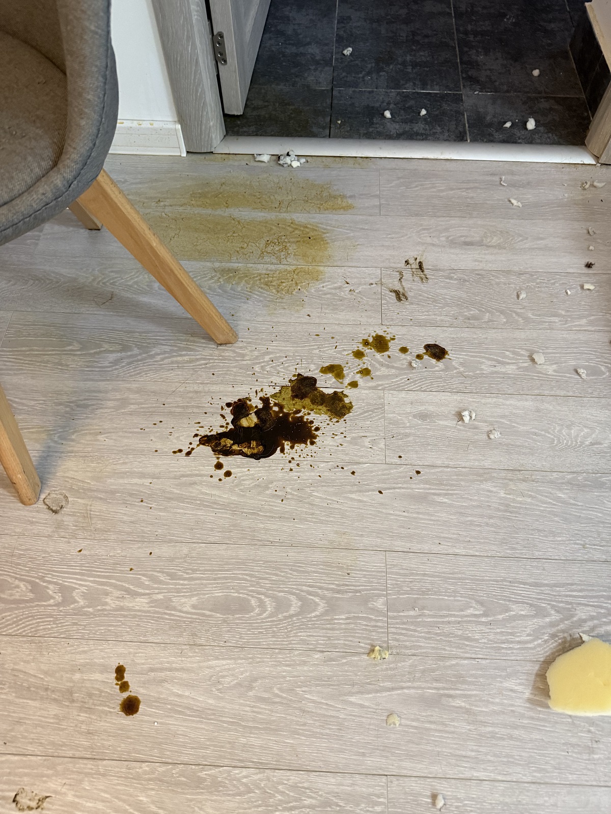 Imagini înainte și după cu apartamentul pe care Calina Dumitrescu l-ar fi distrus. Proprietara rupe tăcerea: „O pune pe mama ei sa se ocupe de mizeria pe care ea o face”