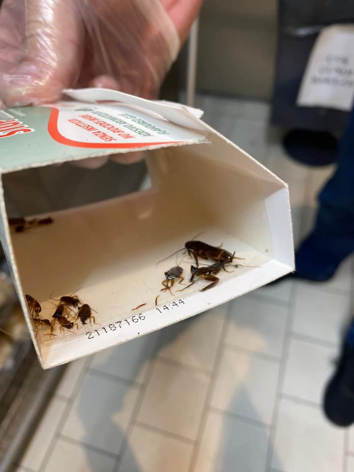 Produse expirate, mizerie și gândaci. Ce au găsit inspectorii ANPC în mai multe supermarketuri din Ploieşti
