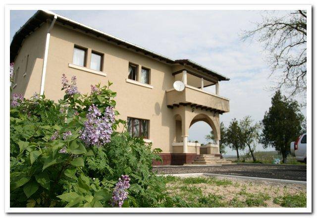 Costel din serialul "La Bloc" își vinde conacul. Cum arată palatul de 200.000 de euro al lui Dragoș Moștenescu | FOTO