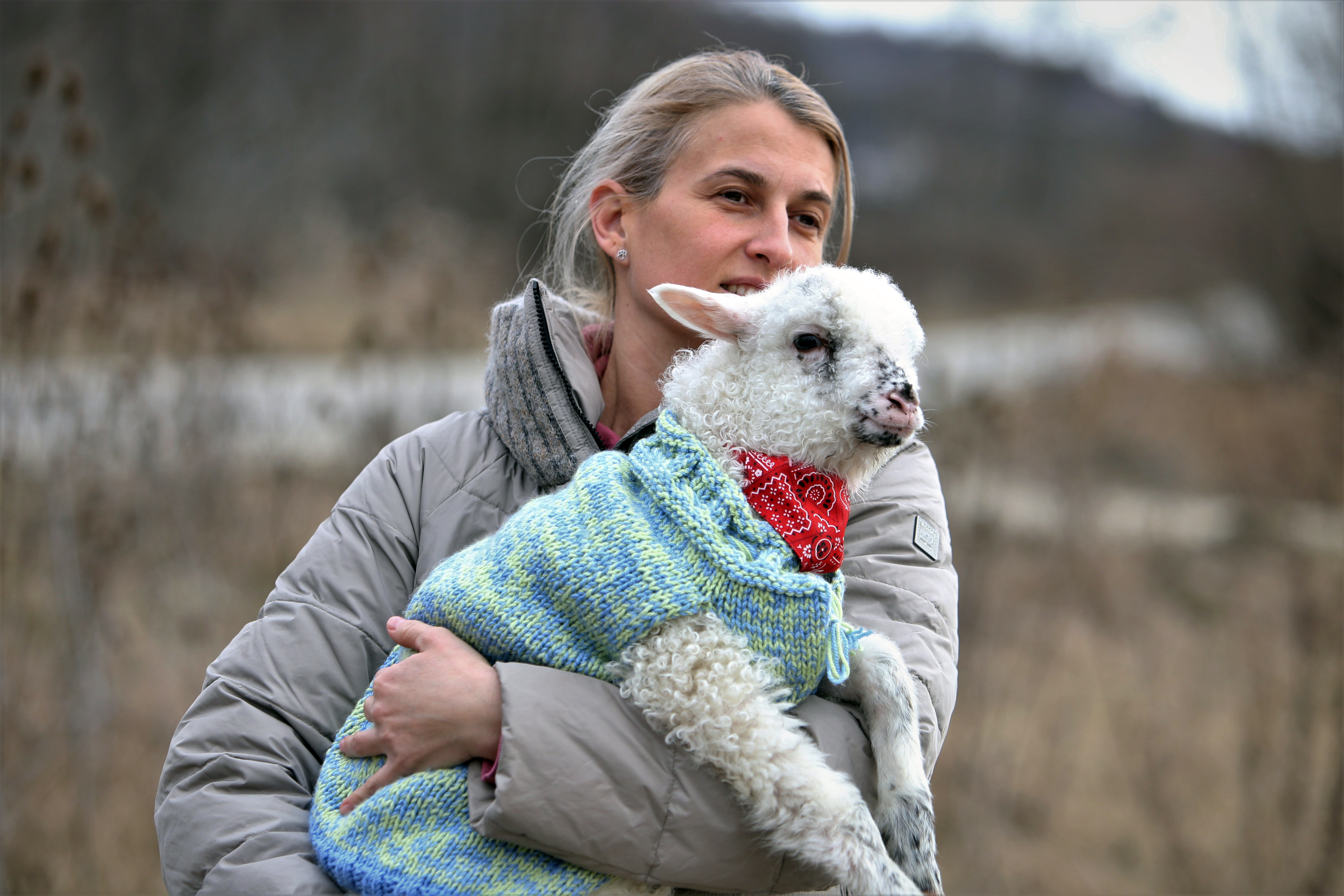 Povestea tristă a lui Papi, un pui de căprioară rănit, a însemnat începutul unui proiect uimitor: Sanctuarul Papi Land, locul unde animalele de fermă abuzate și torturate reînvață să trăiască