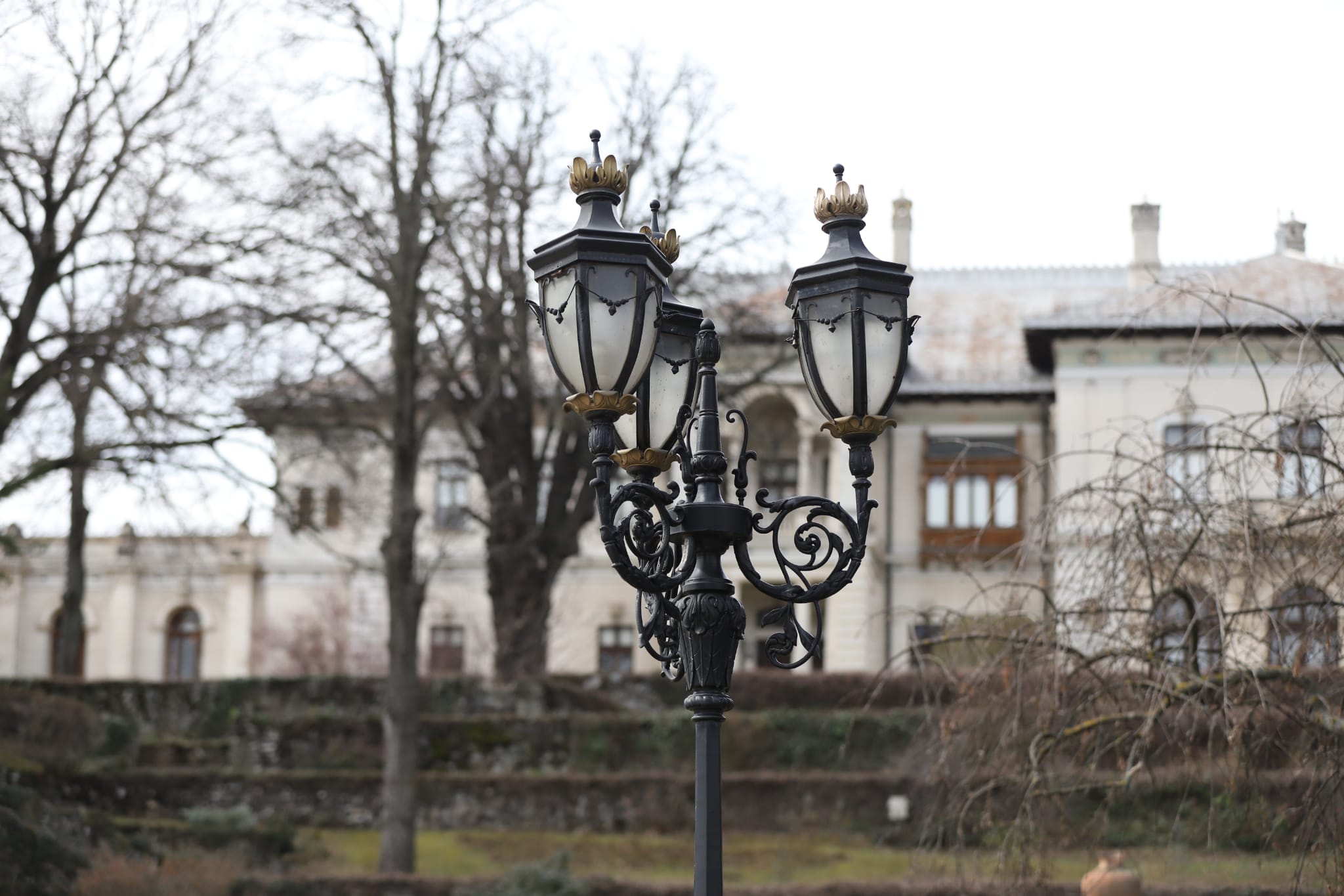 Palatul Cotroceni, liber la vizitat. Care sunt tarifele pentru interior și de când se poate intra