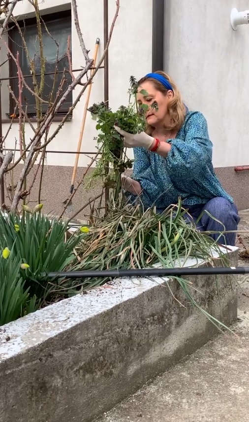 Imagini cu Elena Lasconi în grădina casei sale din Câmpulung Muscel. A dat cu sapa, a greblat, iar apoi a plantat flori de primăvară