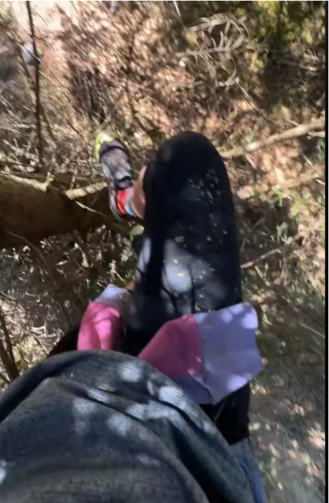 Delia a fost atacată de câini în parc. Artista, nevoită să se urce într-un copac. „M-am zgâriat, m-am făcut praf”