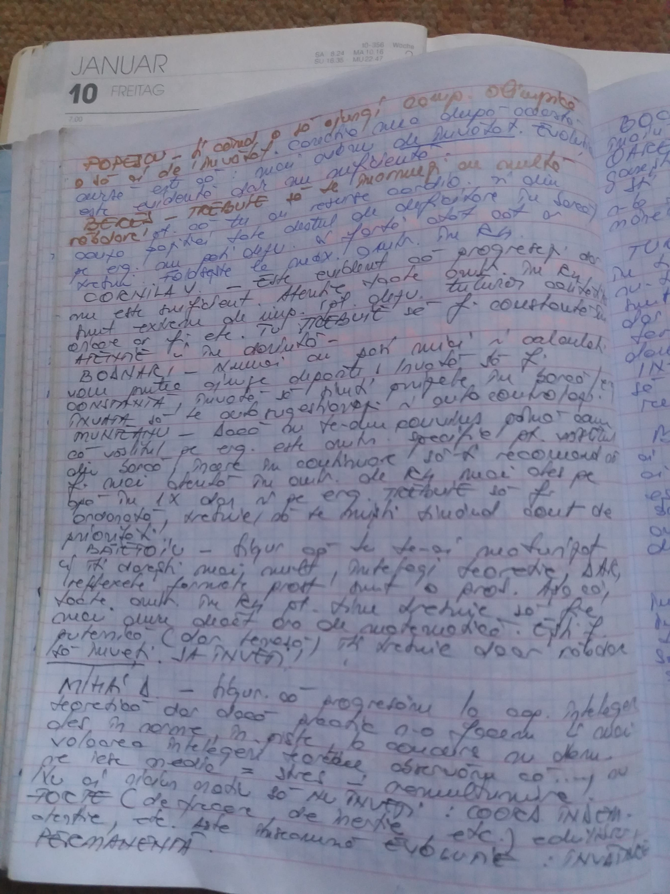 Am aflat dieta de la canotaj. ”Mâncăm mai puțin”! Caietele senzaționale ale antrenoarei Mariana Maliș conțin secretele campioanelor. Povești fabuloase dezvăluite în premieră / GALERIE FOTO