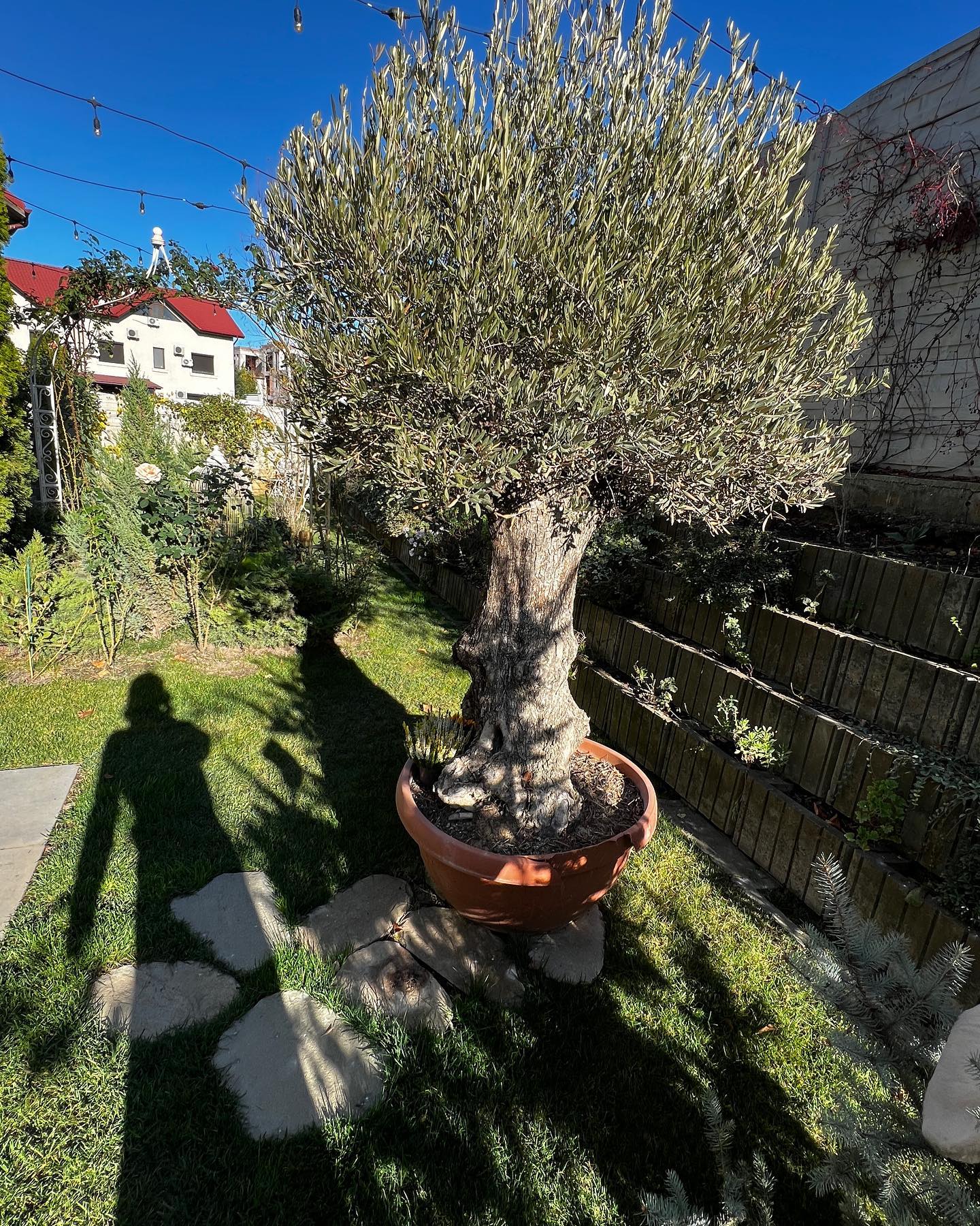 Imagini din casa în care locuiește Andreea Marin. Are cadă în dormitor și a amenajat vila după ideile ei