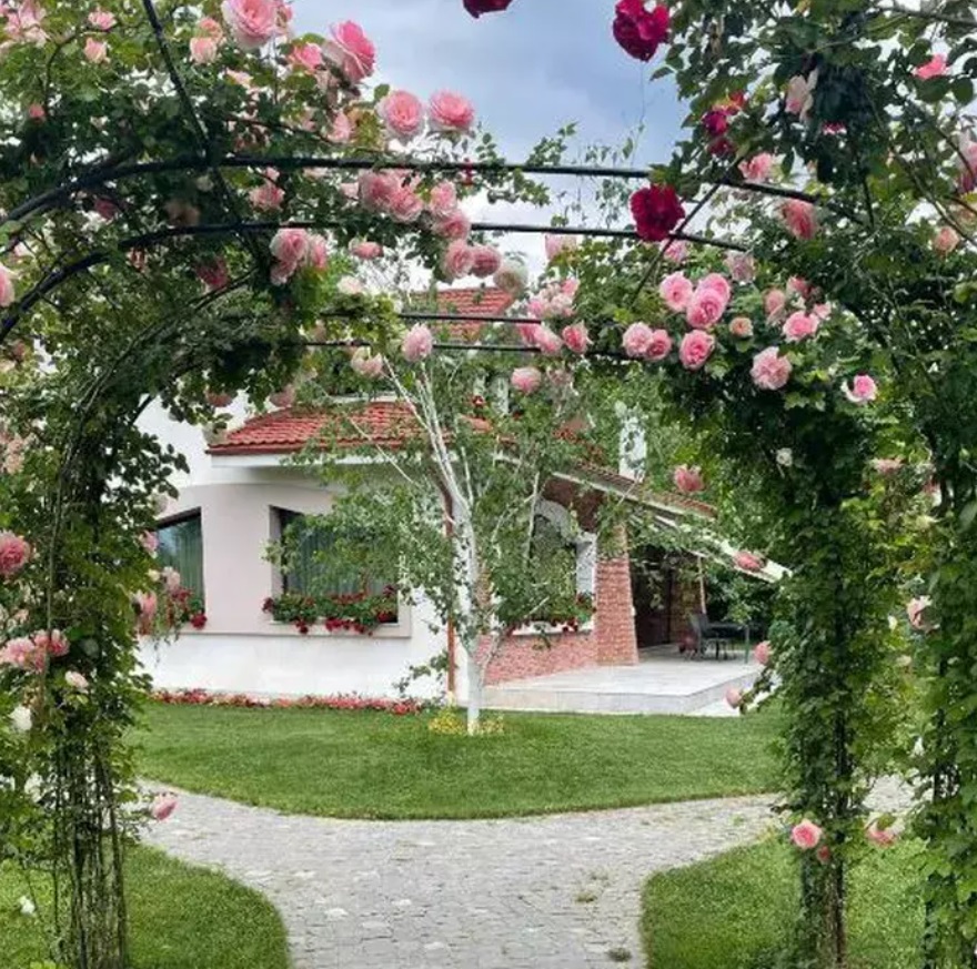 Imagini cu casa în care locuiește Mirela Vaida cu soțul și cei trei copii. Vila din Snagov a prezentatoarei e chiar lângă pădure