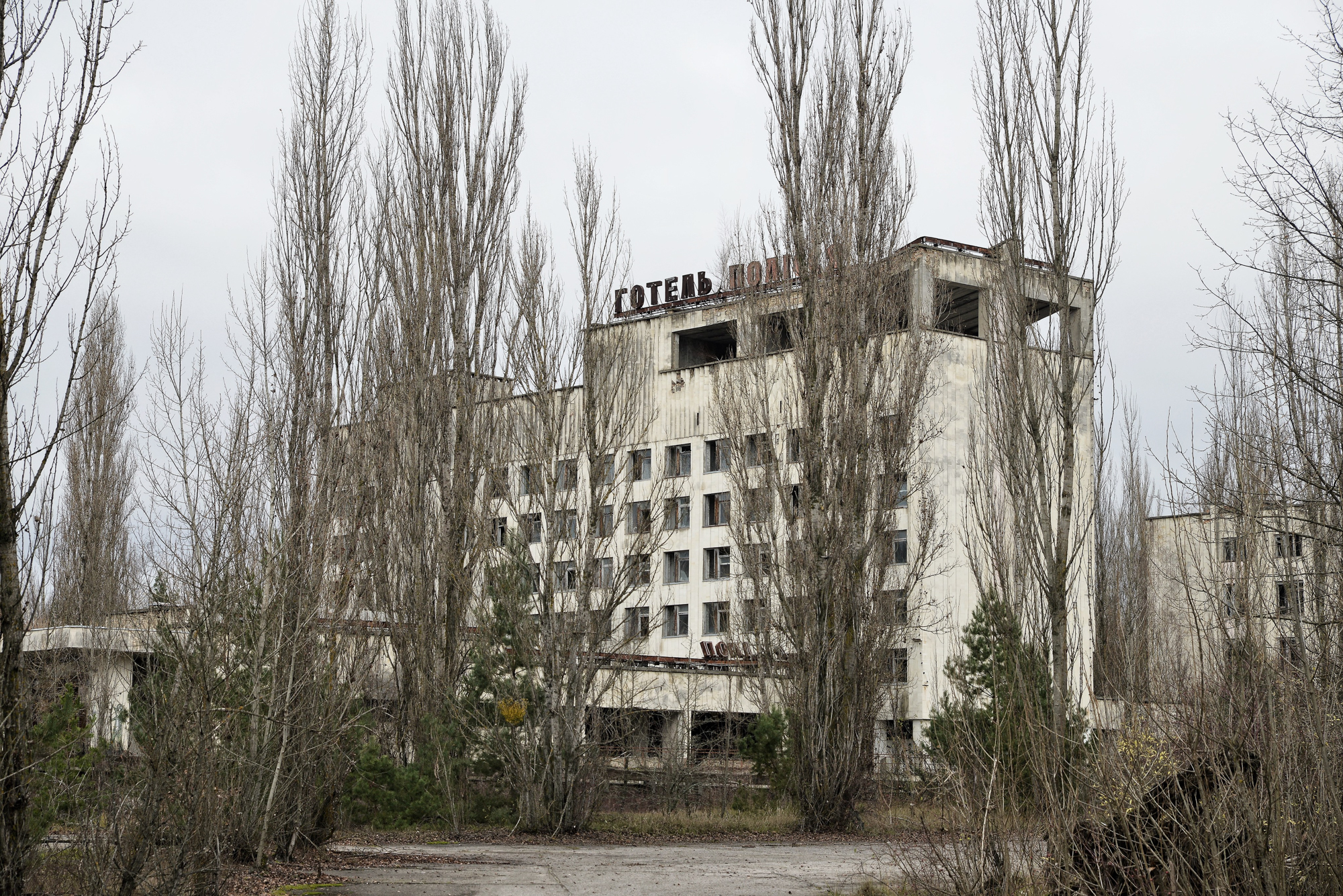„Aveau fețele umflate și roșii. Pun pariu că nu mai sunt în viață”. Ce s-a întâmplat în „Pădurea Roșie” de la Cernobîl, unde rușii au săpat tranșee pe durata asediului de 45 de zile | FOTO
