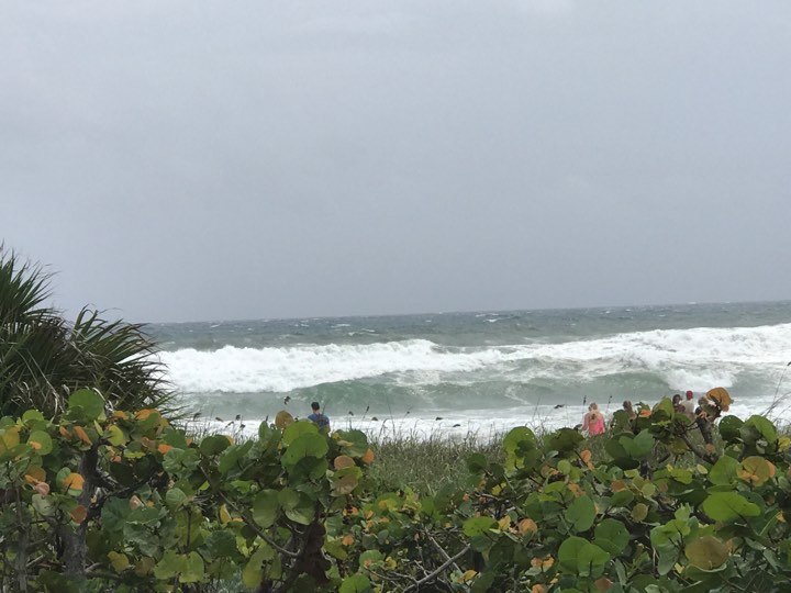 UPDATE | EXCLUSIV. Imagini din West Palm Beach, cu 24 de ore înainte de trecerea uraganului Irma (Foto & Video)