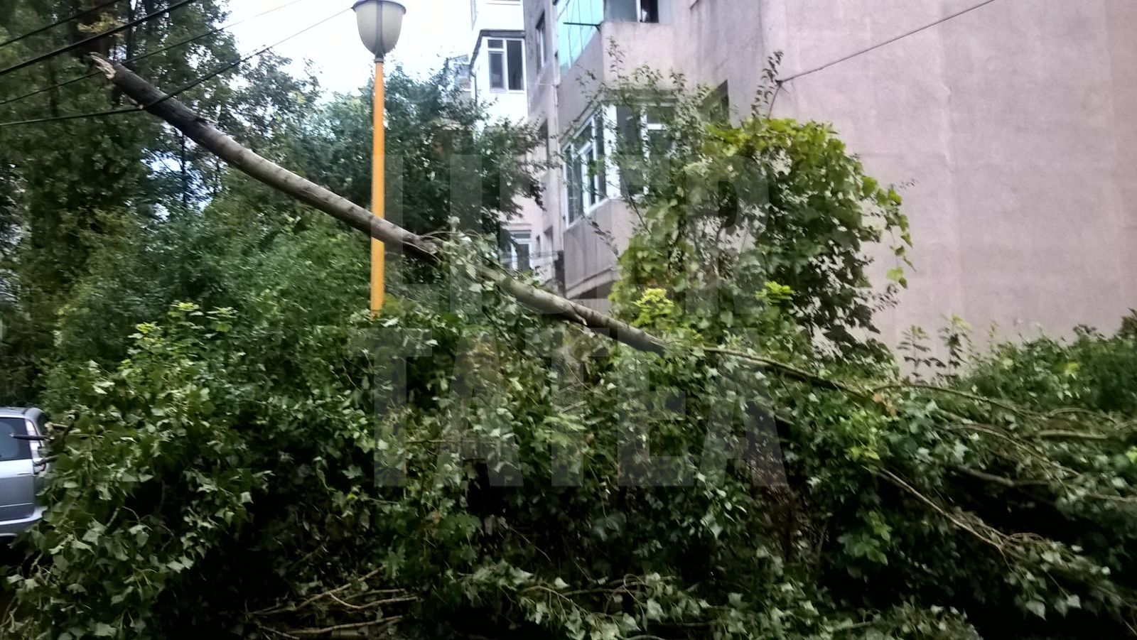 UPDATE / Inundații la Constanța. O macara de câteva tone, doborâtă de vânt. Potop și în alte orașe