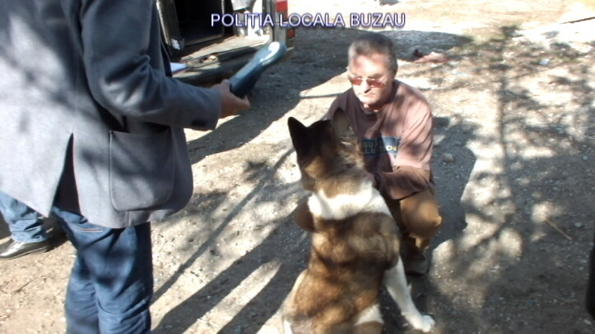 Încă o fermă ilegală de păsări și animale a fost descoperită la Buzău de polițiștii locali| GALERIE FOTO