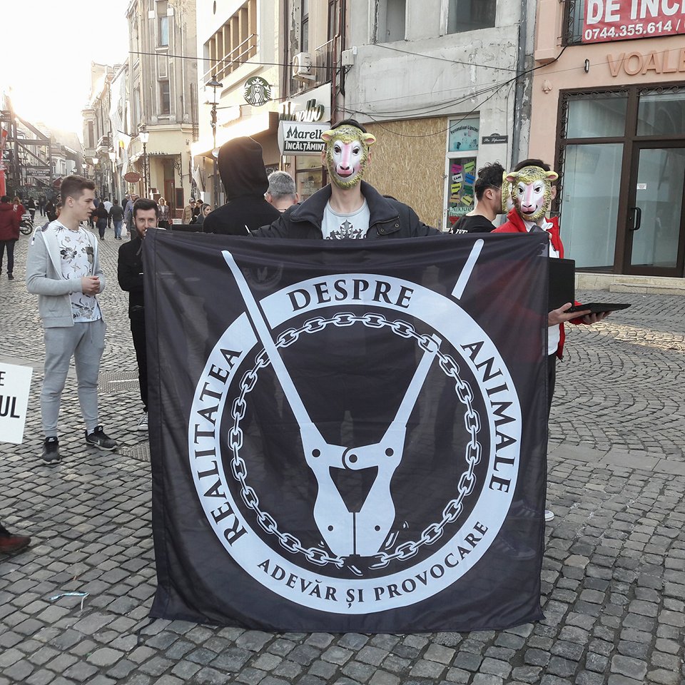 FOTO&VIDEO/ Veganii fac un flashmob la târgul de miei din București, în duminica Floriilor: „Oaia are inteligența unui copil de trei ani”