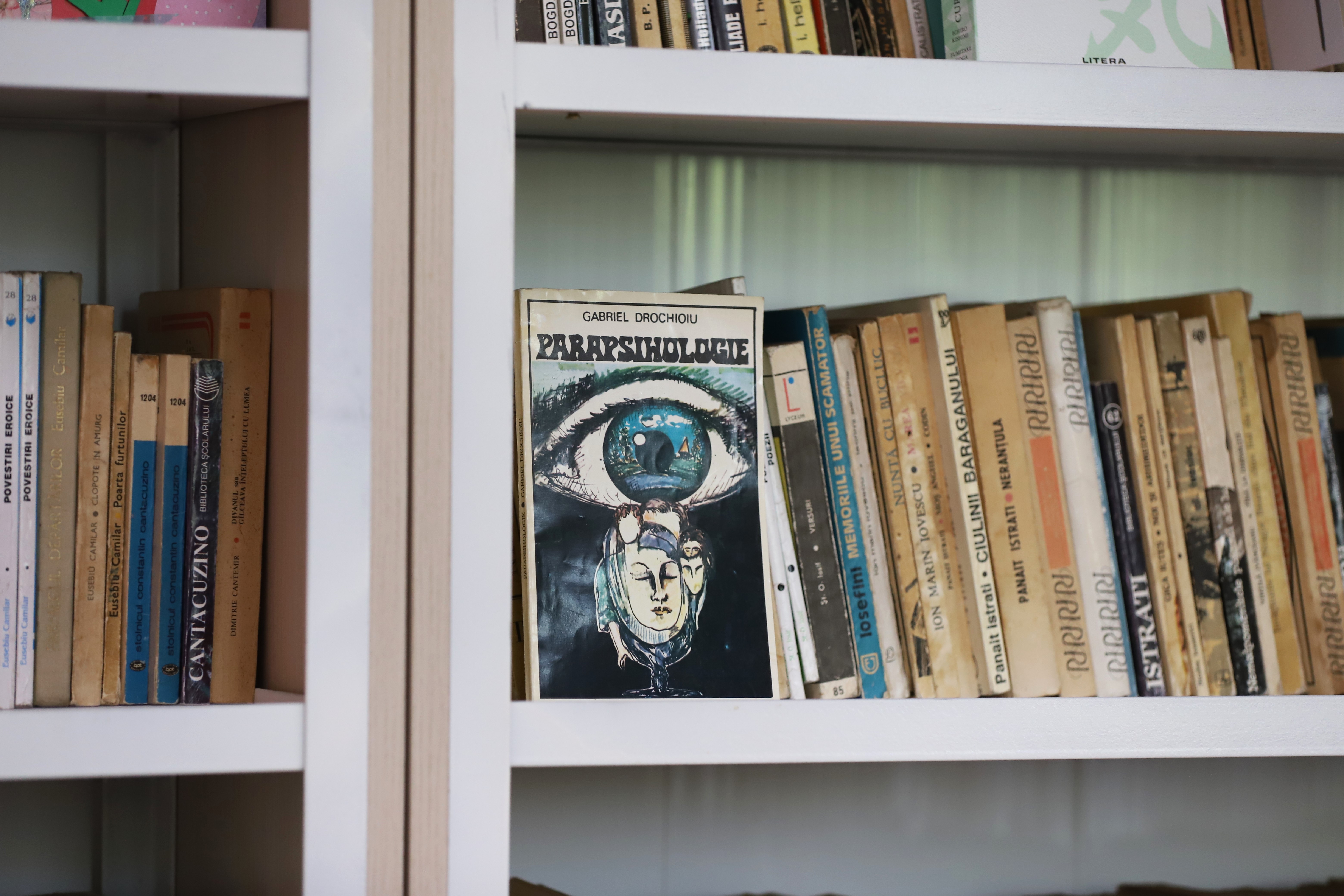 Curiosul caz al fetiţei de 12 ani care citeşte cărţi împrumutate de la biblioteca din sat. „TikTok nu-ţi dezvoltă nici creierul, nici imaginația, nici componentele lingvistice”, spune ea