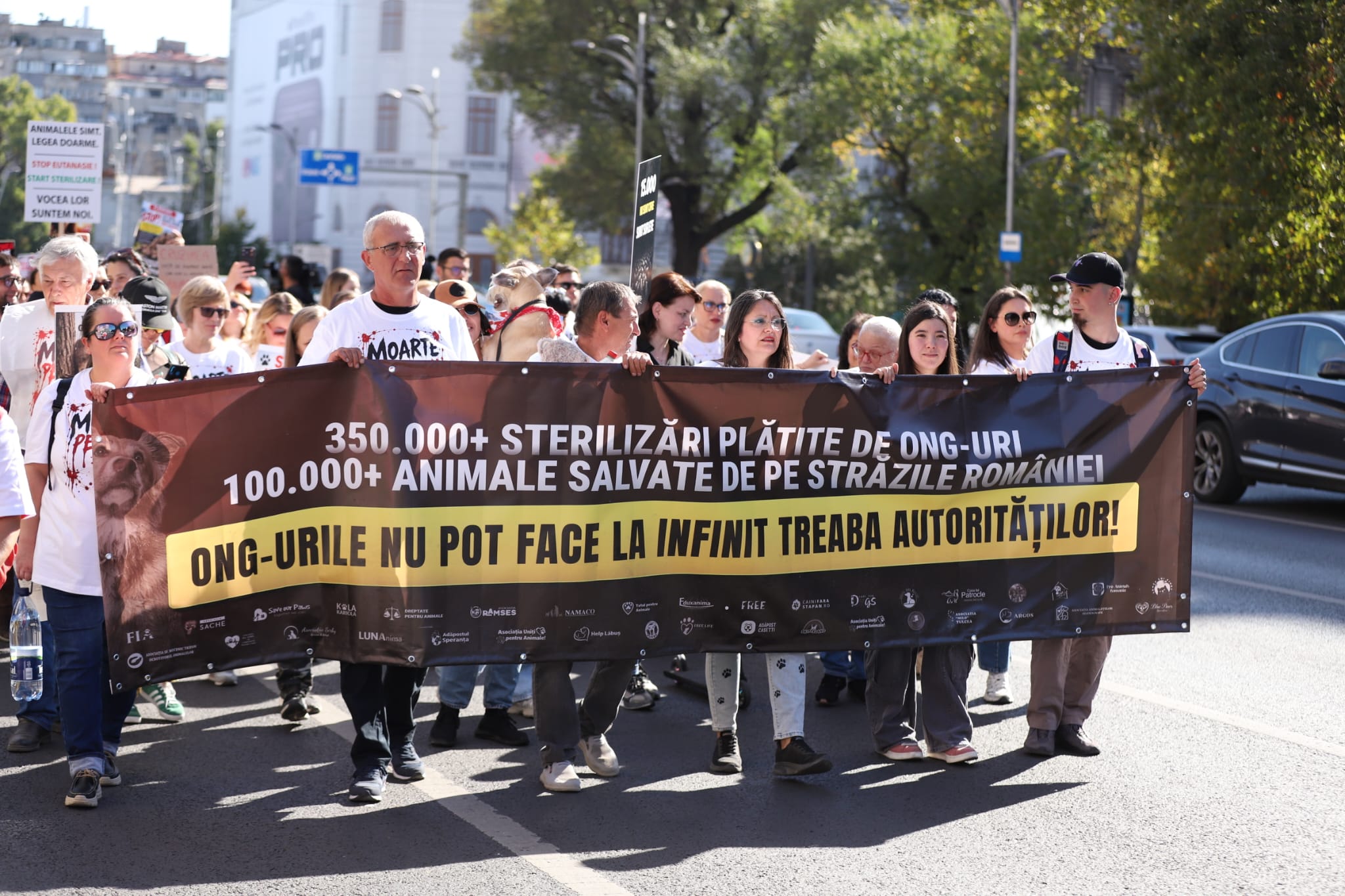 Raluca Bădulescu, prezentă la protestul pentru drepturile animalelor