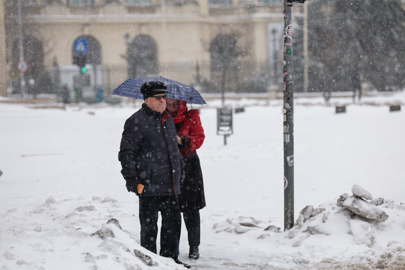Codul galben de ninsori și viscol a făcut prăpăd în mai multe județe: copaci rupți și mașini distruse în București, drumuri închise sau restricționate în 16 județe | VIDEO