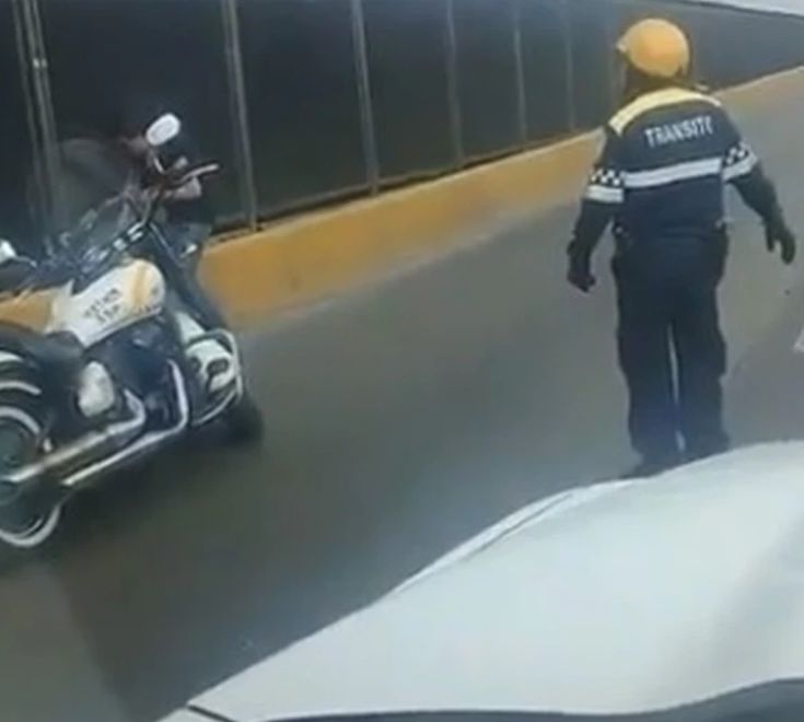 Un polițist a oprit traficul ca să salveze un câine. Gestul agentului a emoționat pe toată lumea | FOTO