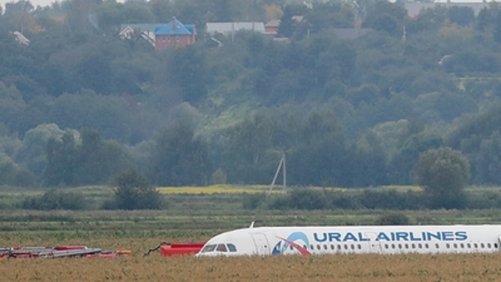 Un avion cu 170 de pasageri la bord care zbura pe ruta Soci-Omska a aterizat de urgență într-un lan de grâu, în Siberia