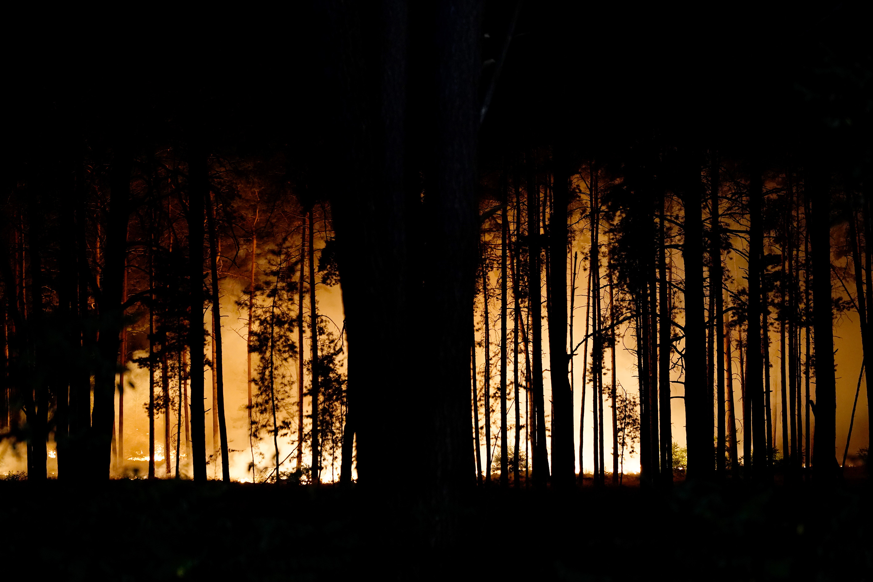 GALERIE FOTO / Incendiu de proporții în apropiere de Berlin. Sute de hectare de pădure ard în continuare