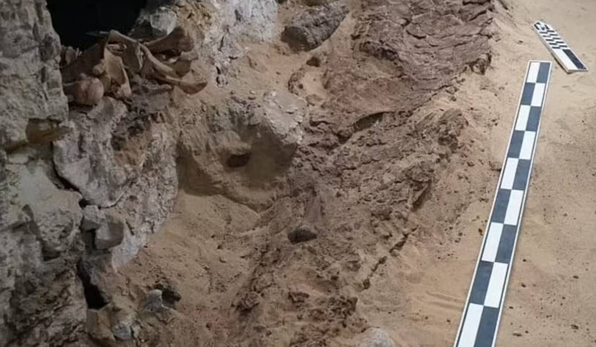 Un mormânt vechi de 3.200 de ani, din Egiptul Antic, a fost găsit sub o fântână