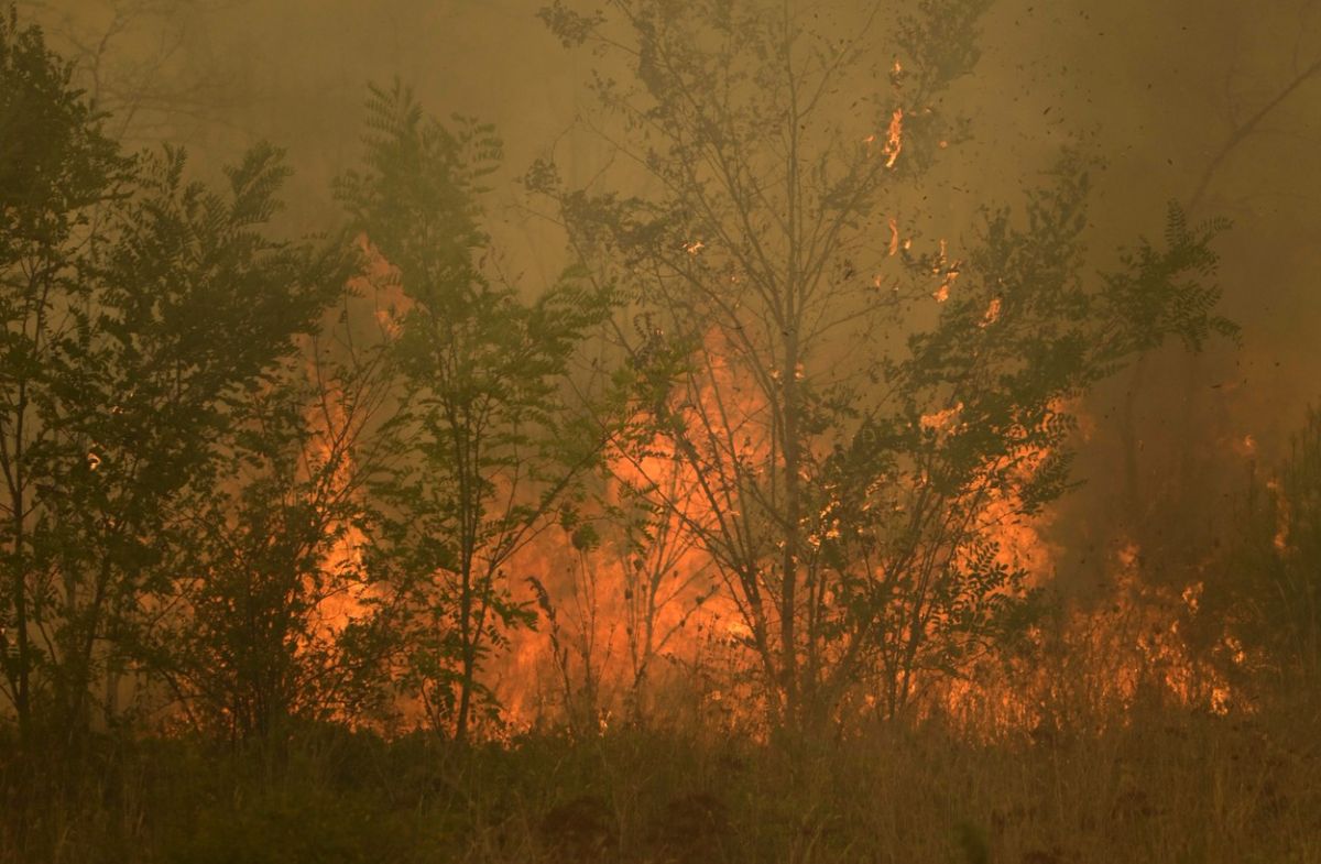 Grecia trimite încă 100 de pompieri să intervină la incendiul din nord-estul țării care arde de 13 zile