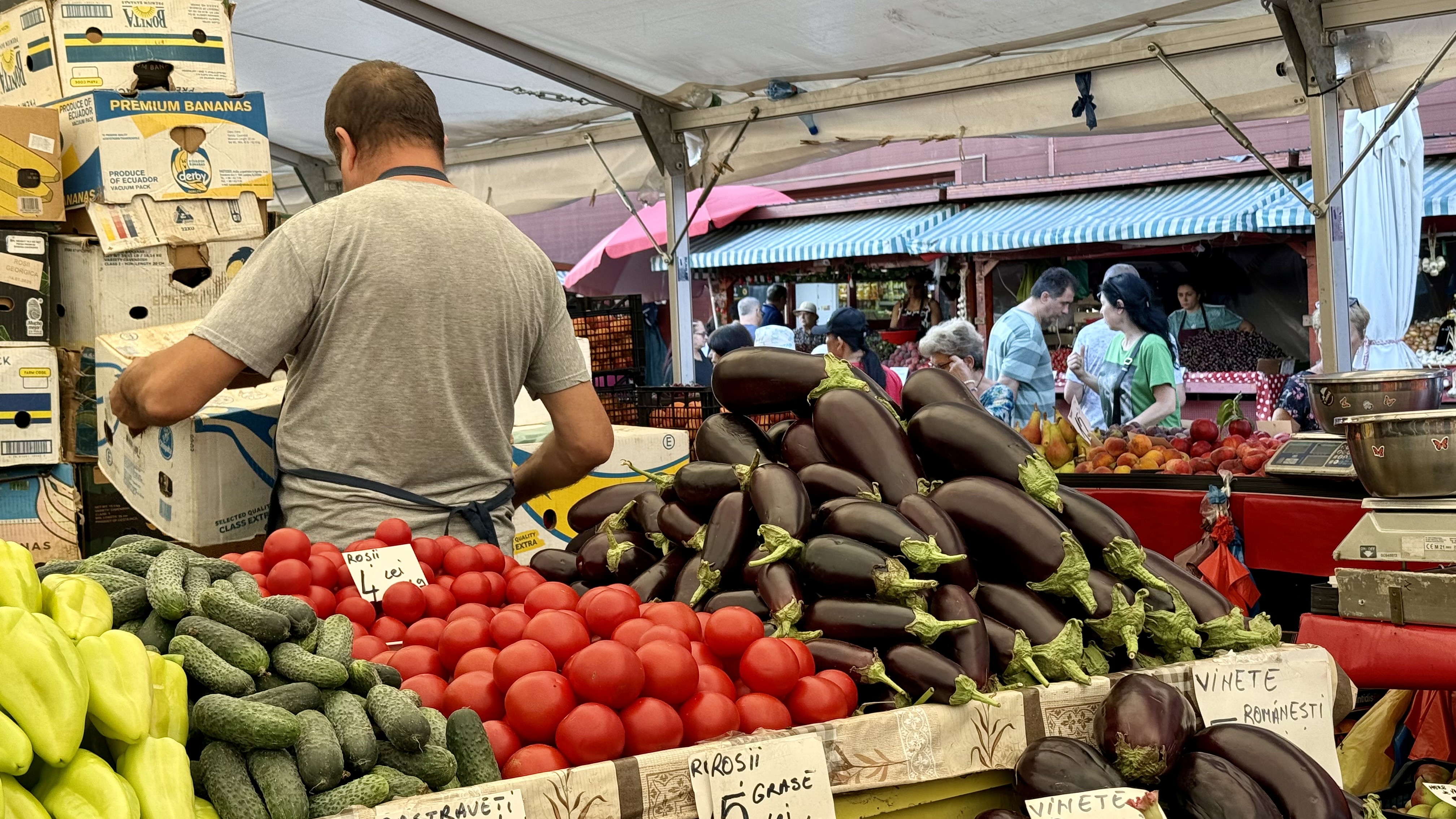Cât costă kilogramul de vinete în piețe. Românii stau la cozi pentru salata preferată a verii