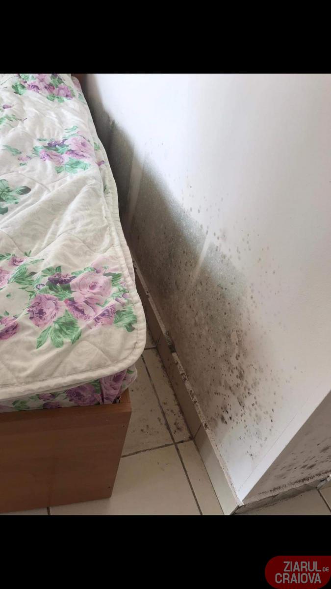 După ce au apărut imagini cu condițiile inumane de la centrul de carantină din Calafat, oamenii au fost mutați. Explicațiile primarului: ”Consilierii n-au fost de acord să-i ducem la hotelul lui Gică Popescu”