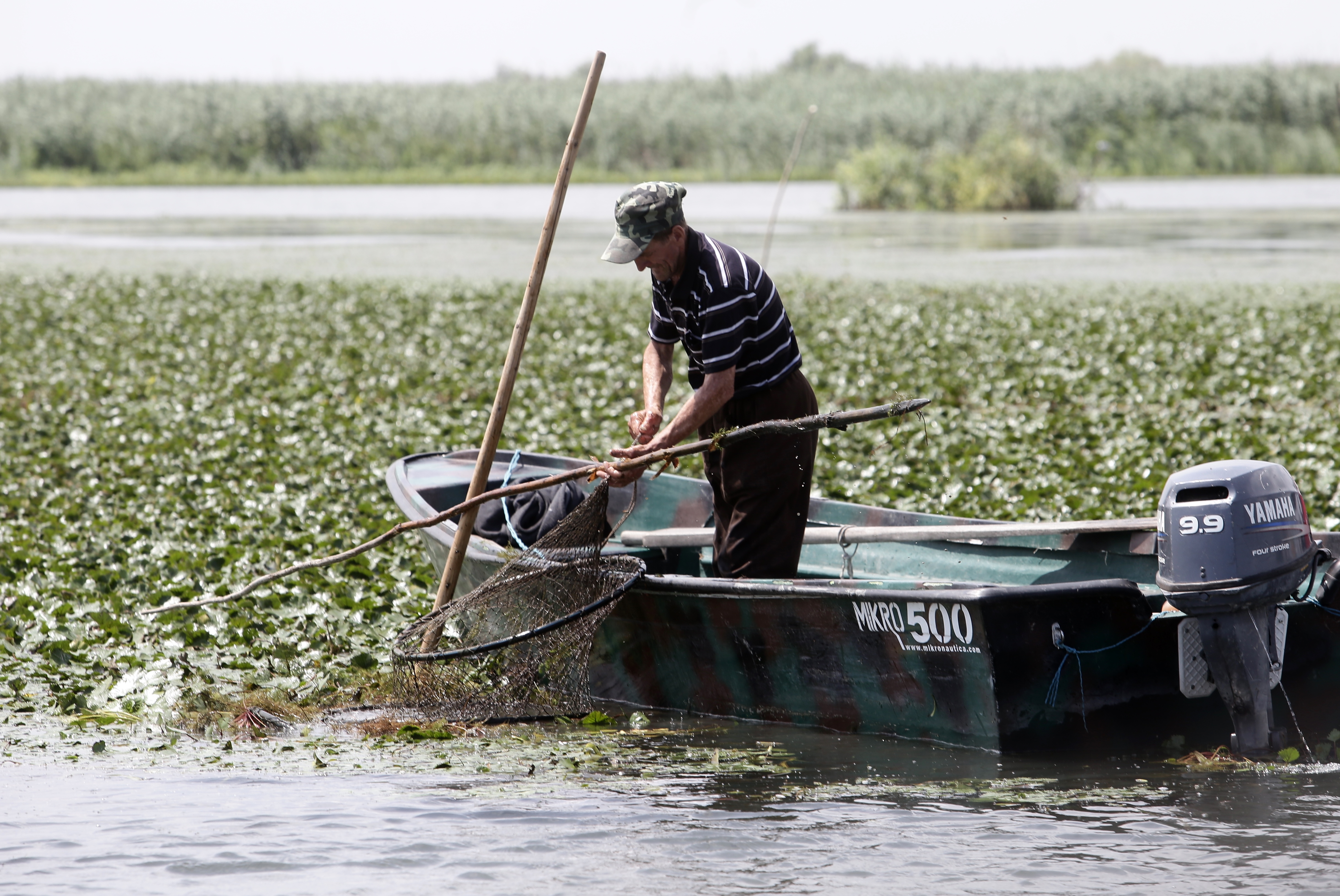 FOTOREPORTAJ/ Prin Delta Dunării, în căutarea sălbăticiei