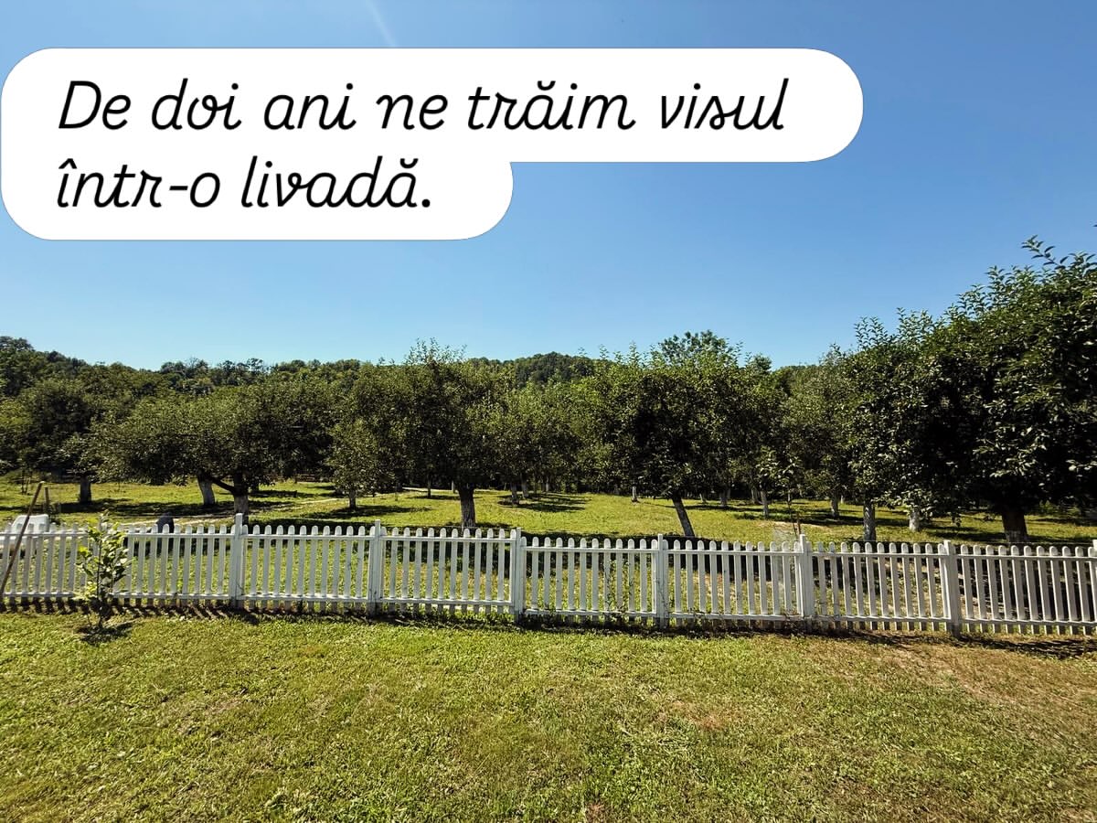 Imagini din gospodăria lui Dragoș Bucur și a Danei Nălbaru. De doi ani trăiesc la țară: „A fost cea mai bună decizie”