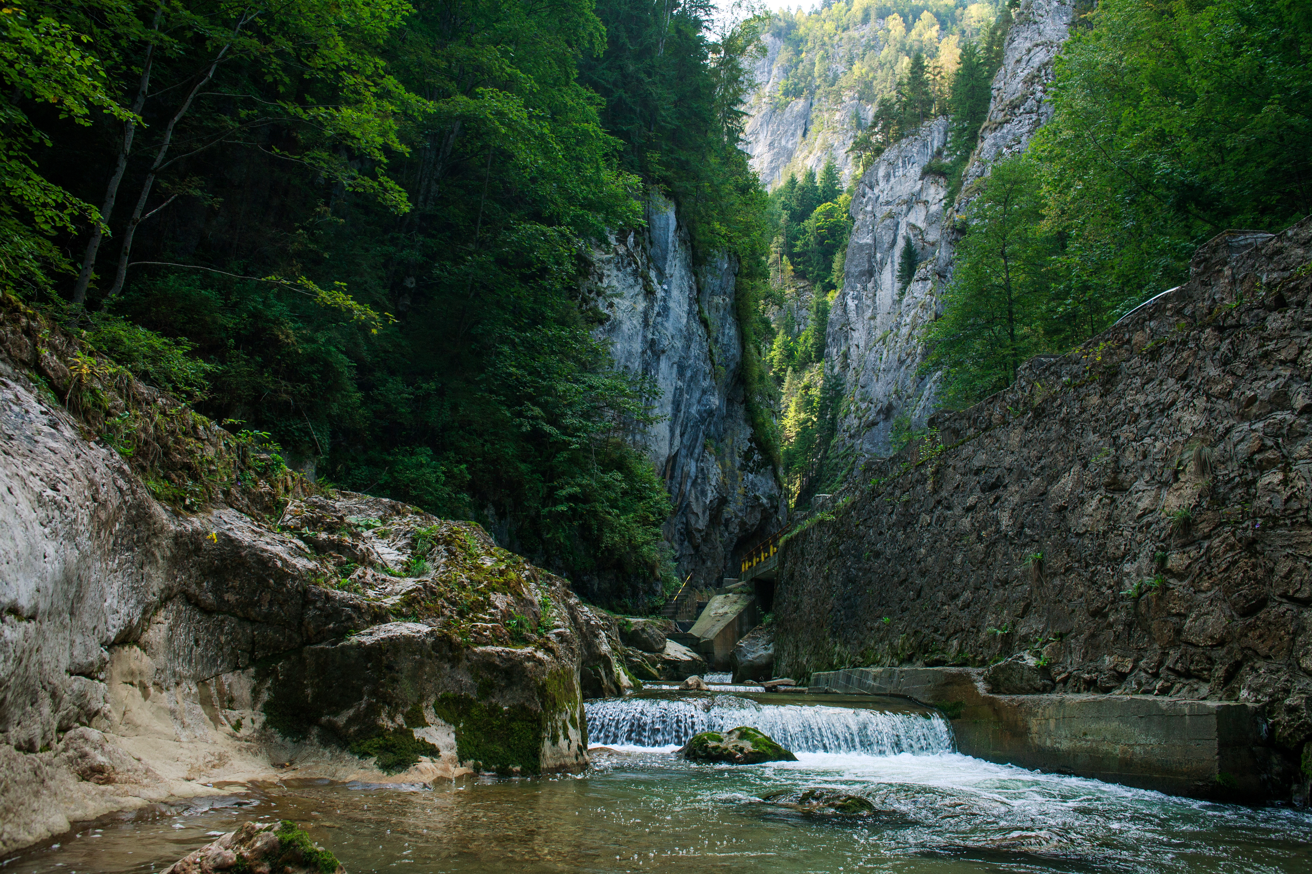 Rezervații naturale din România. Cele mai frumoase locuri pe care trebuie să le vizitezi