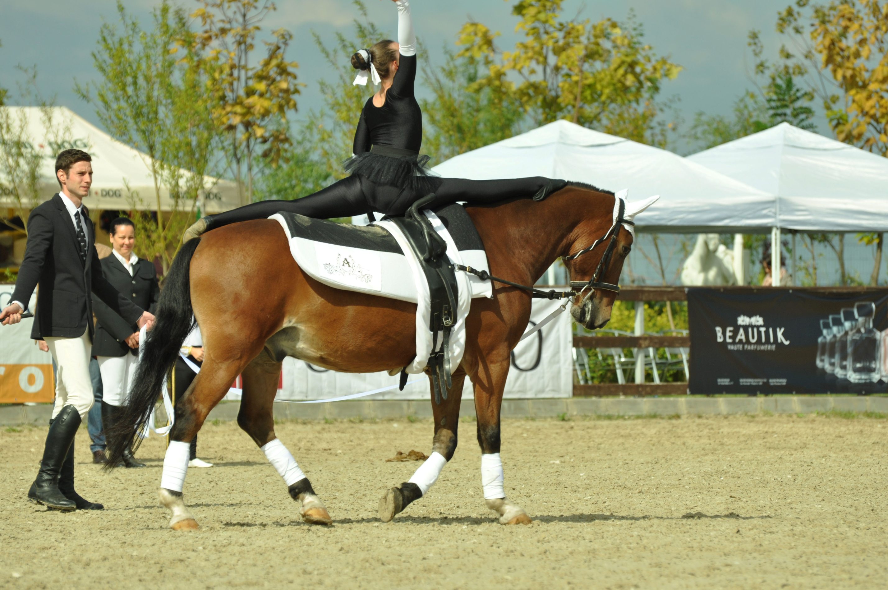 GALERIE FOTO / Performanţa sportivă şi frumuseţea echitaţiei,  în primul week-end de la Salonul Calului