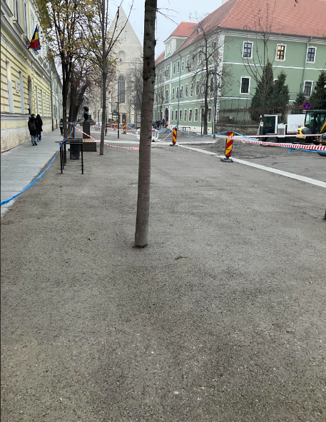 Muncitorii au turnat pietriș tasat în jurul copacilor, pe o stradă din centrul orașului Cluj-Napoca. RADP: „Nu mai suntem în asociere, nu am luat nici un leuț”