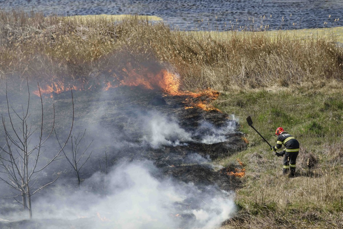 Incendiul din Delta Văcărești, stins după două ore. Ce suprafață a fost afectată