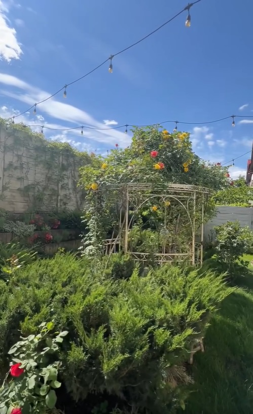 Imagini noi din grădina Andreei Marin. Are mulți trandafiri înfloriți, dar și plante aromatice, spanac și răsaduri de roșii