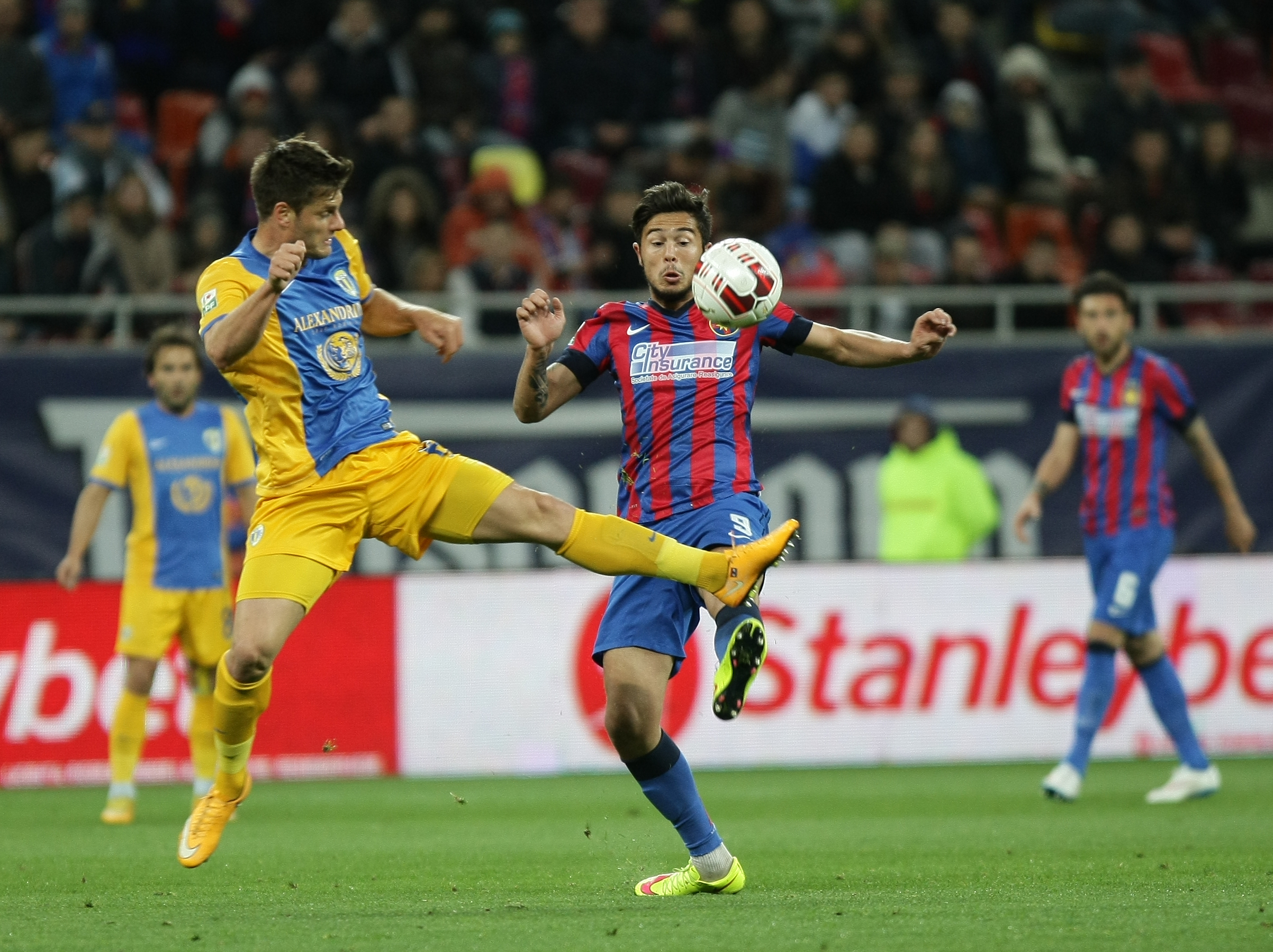 STEAUA - PETROLUL 3-1 (în tur, 1-1). ”Lupii” au fost mielușei / VIDEO