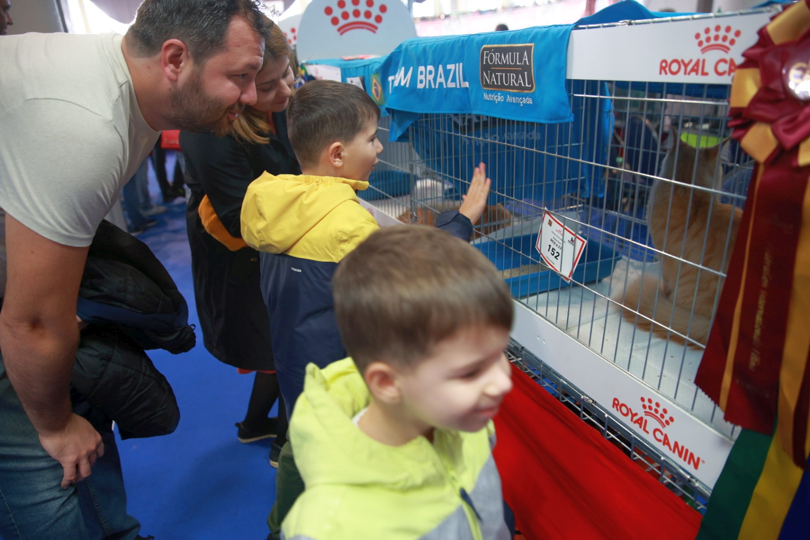 Libertatea a mers la Campionatul Mondial Felin. Bucureștiul, capitala mondială a pisicilor: peste 750 de feline din întreaga lume au strălucit la Romexpo