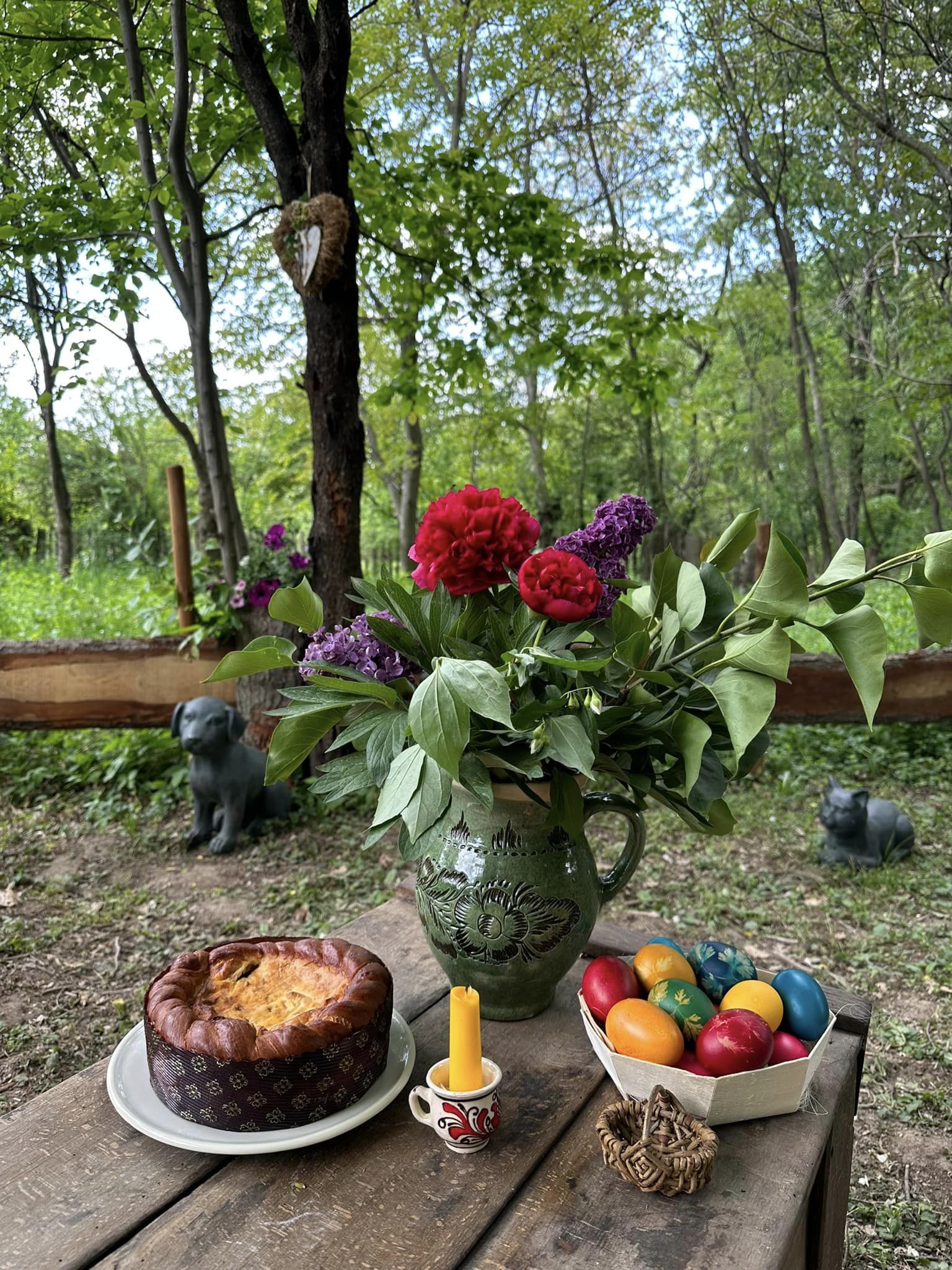 Cum arată cabana din pădure a Mihaelei Bilic după ce i-a pus acoperișul. Și-a amenajat și curtea, unde are hamac