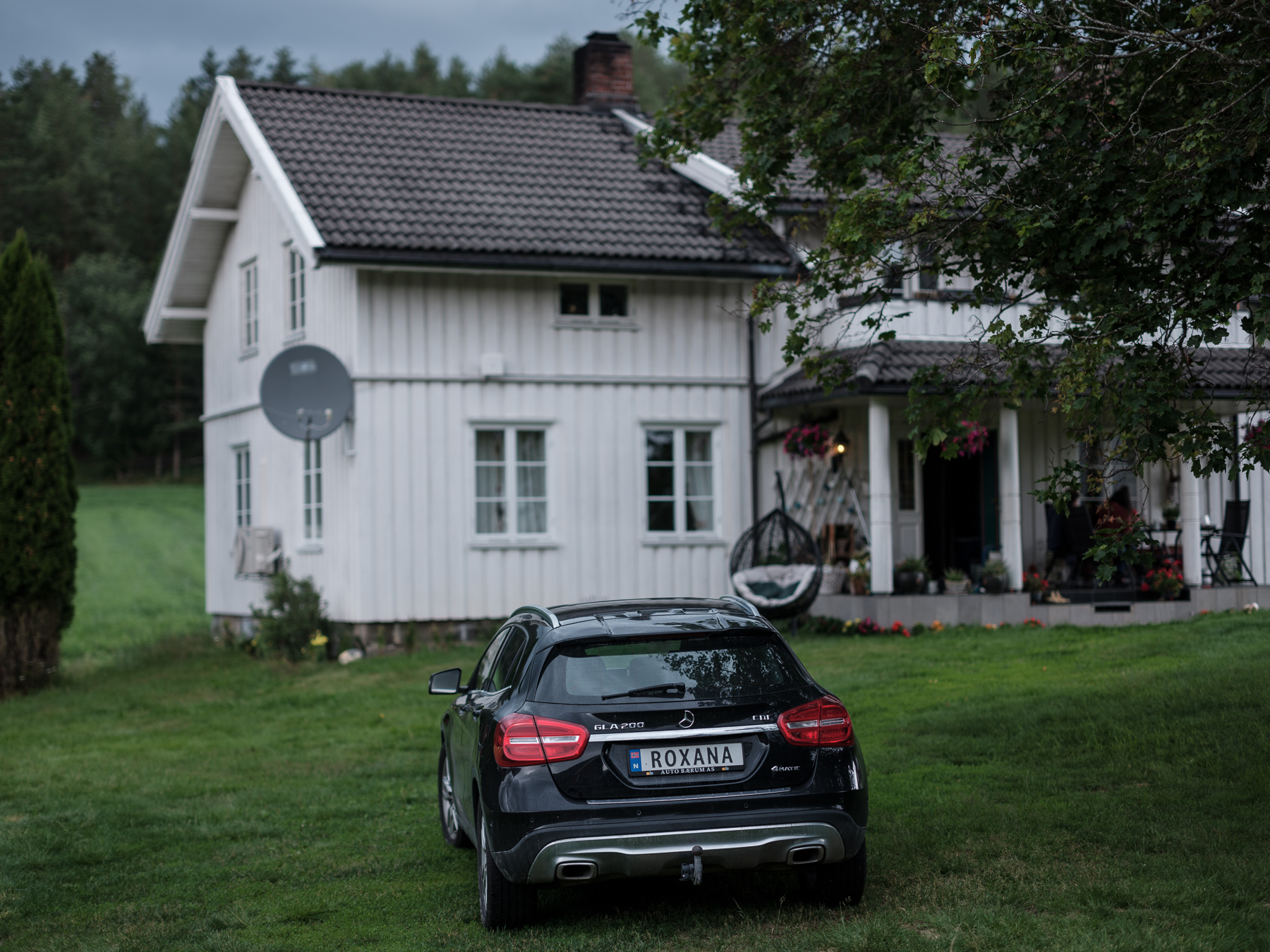REPORTAJ. O româncă a plecat la 19 ani dintr-un sat din Bacău și a ajuns să candideze la alegerile locale din Norvegia: „Aici, când aud că ești fermier, oamenii își dau jos pălăria și îți spun «Mulțumesc pentru mâncare!»” 